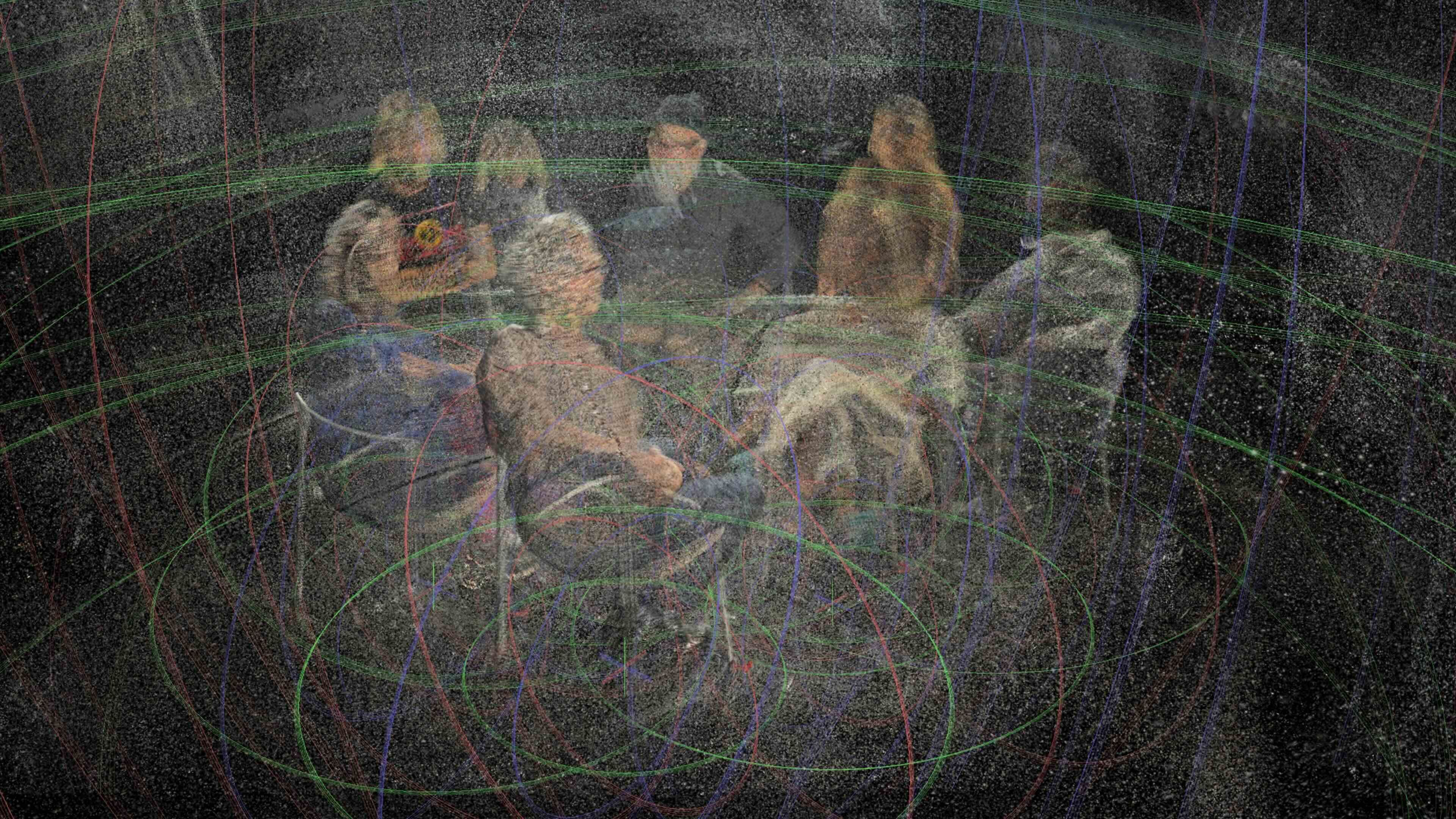 Research Scholars of 2025