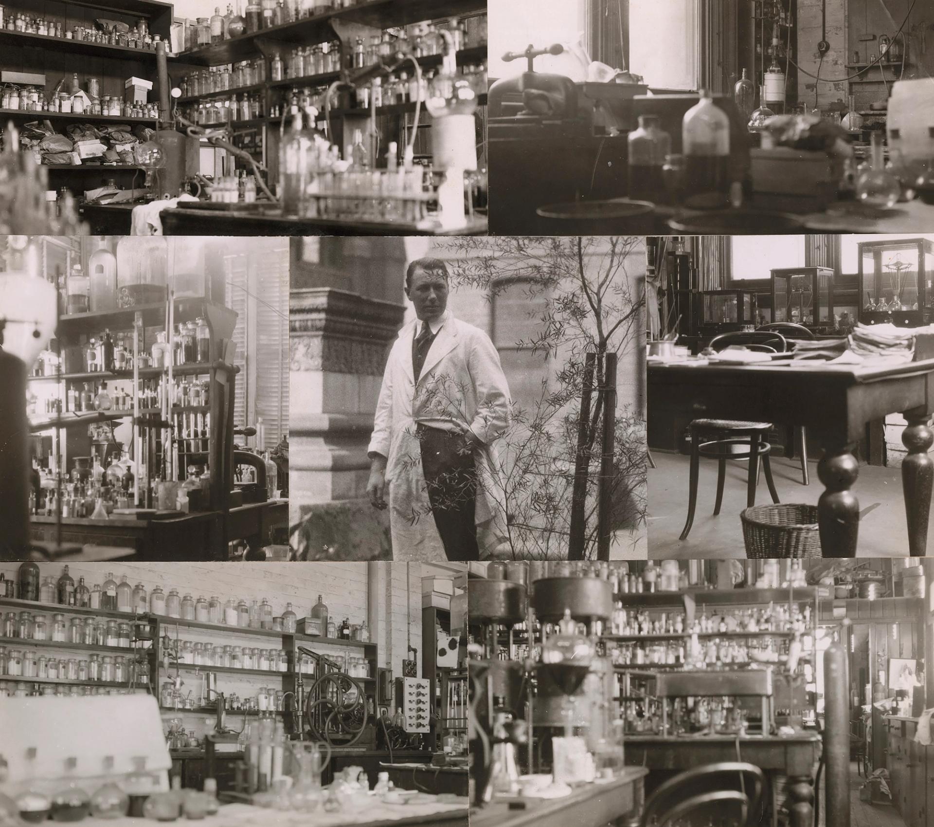 Photographic montage of photographs depicting various botanical experiments and samples