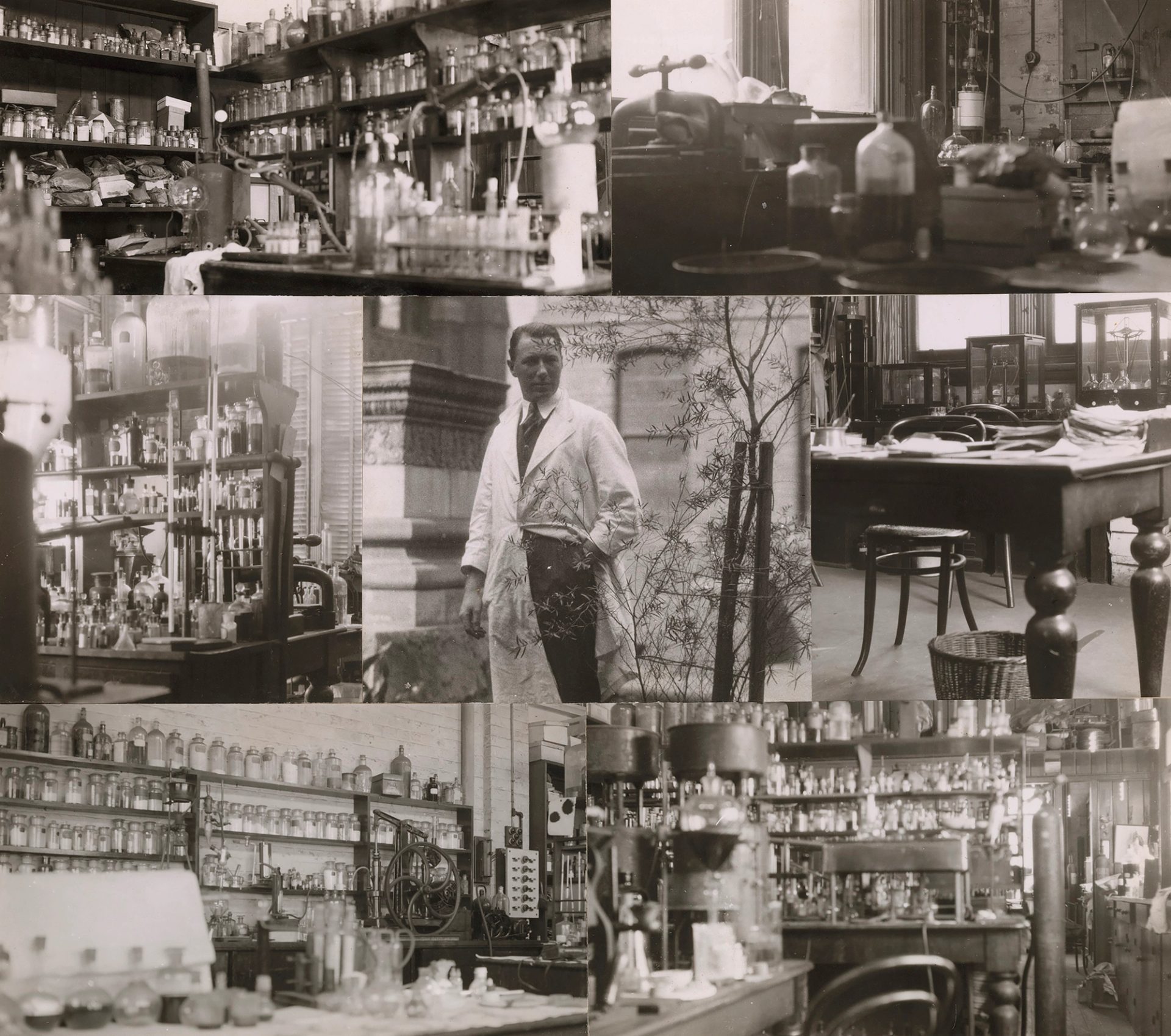 Photographic montage of photographs depicting various botanical experiments and samples