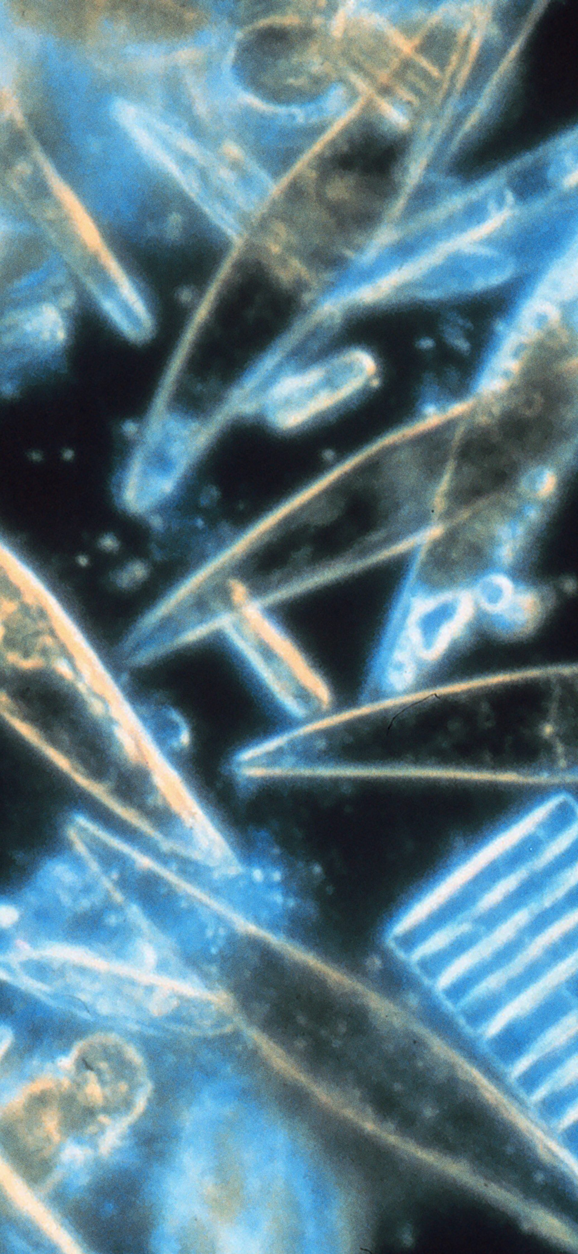 Keynote: Nicole Yamase – Pacific Odyssey