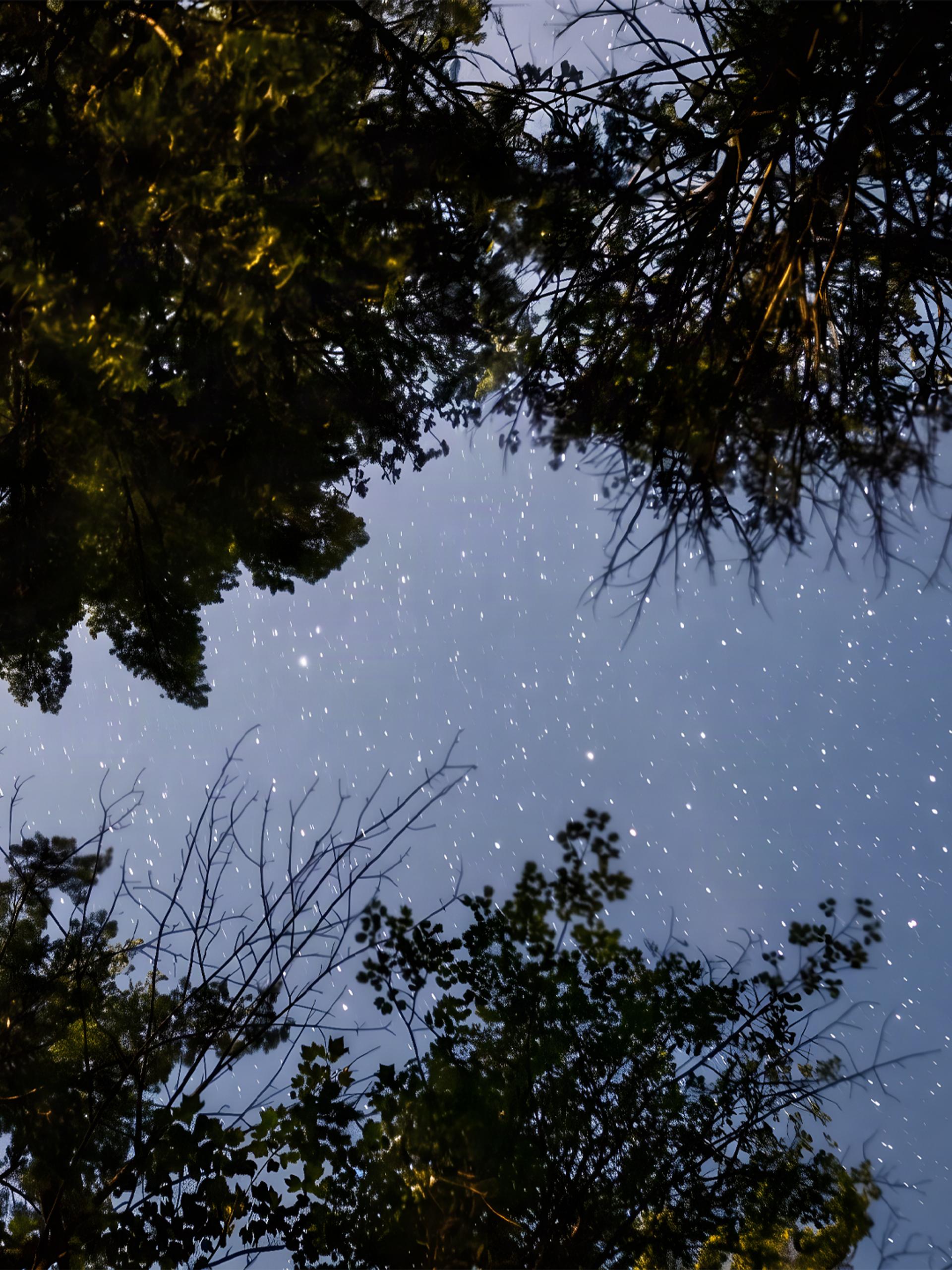 A Swell of Stars | Studio