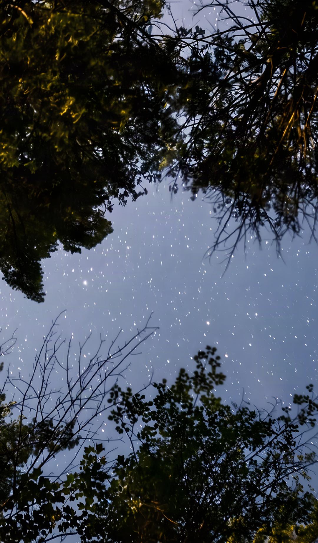 A Swell of Stars | Studio