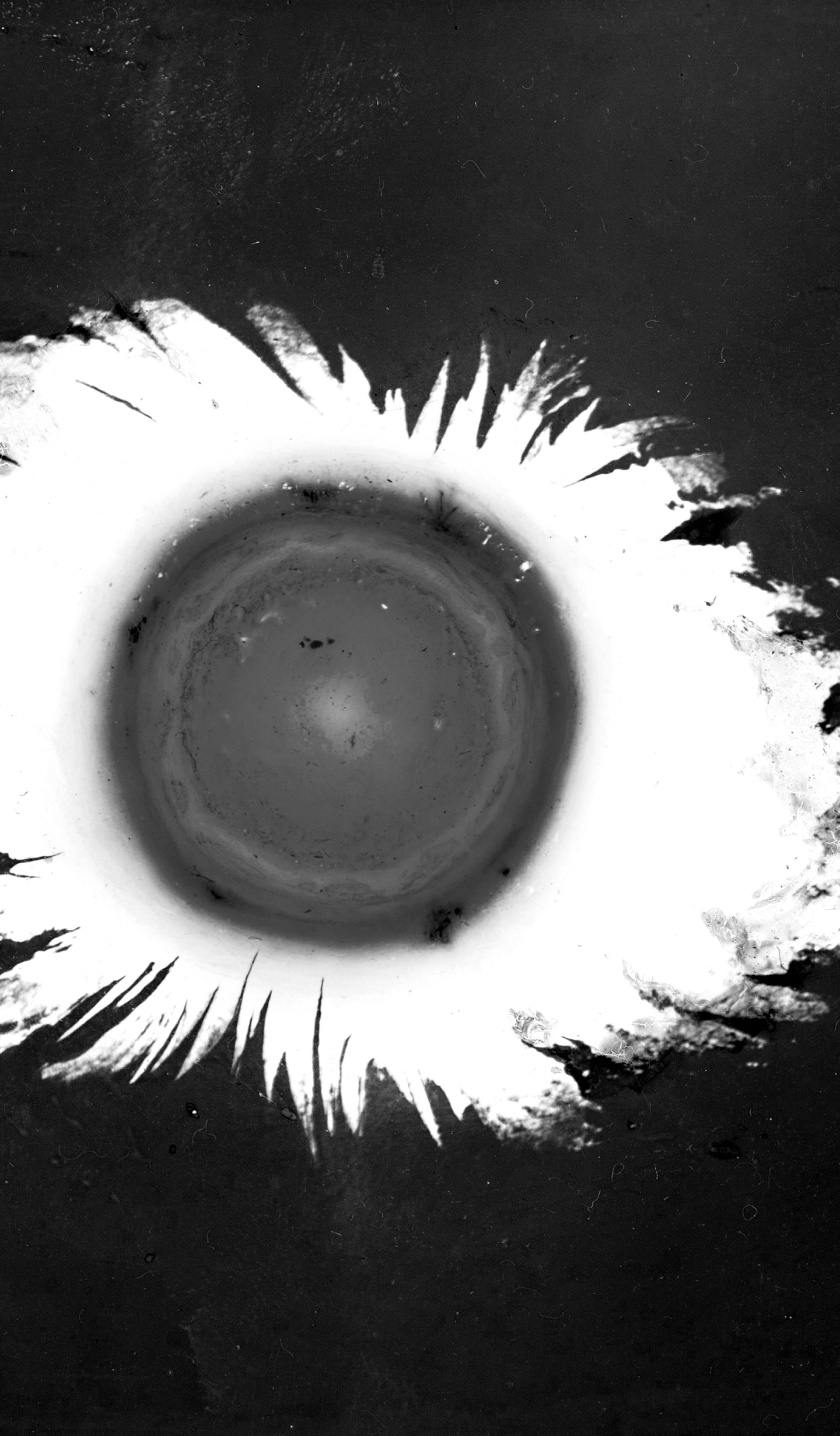 Black and white lantern slide of a solar corona drawing