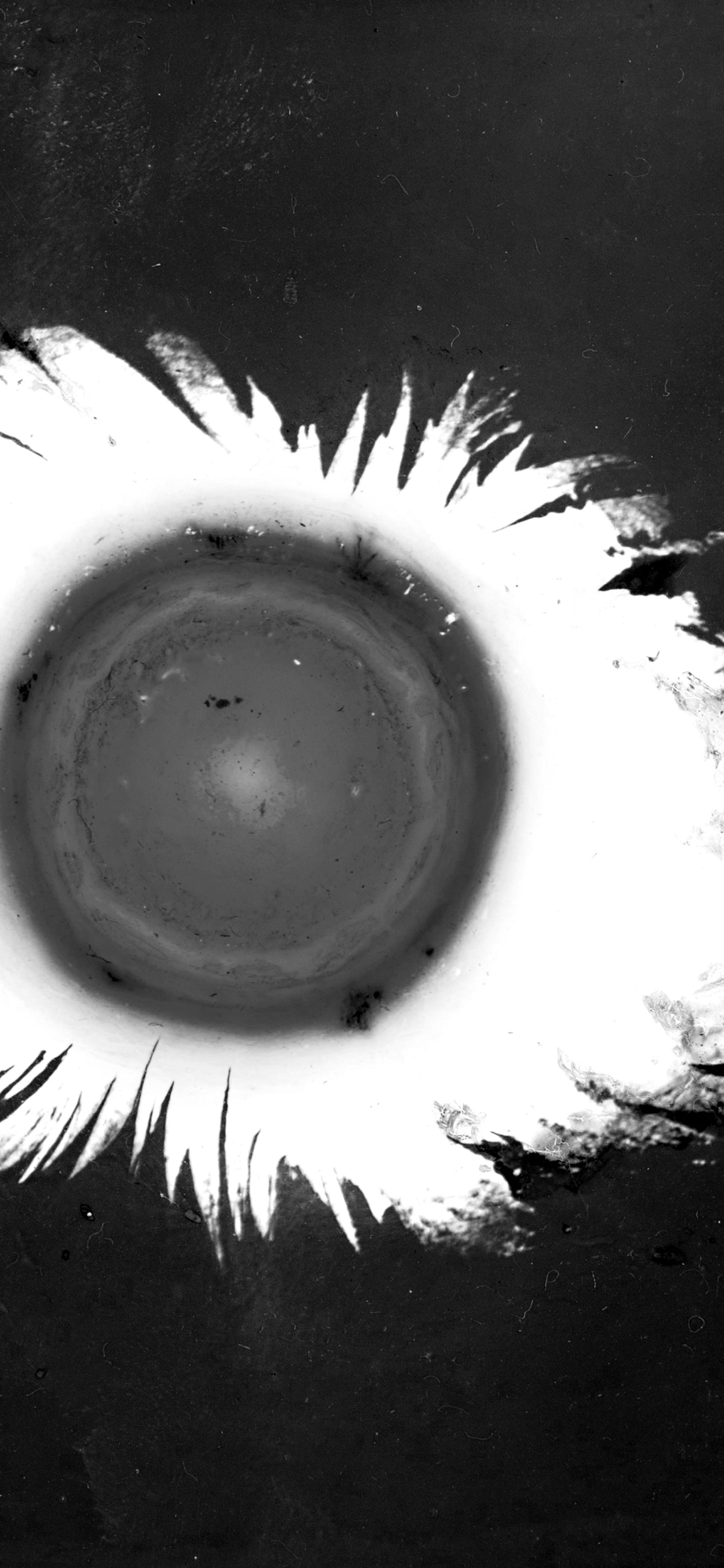 Powerhouse Late: A Line A Web A World