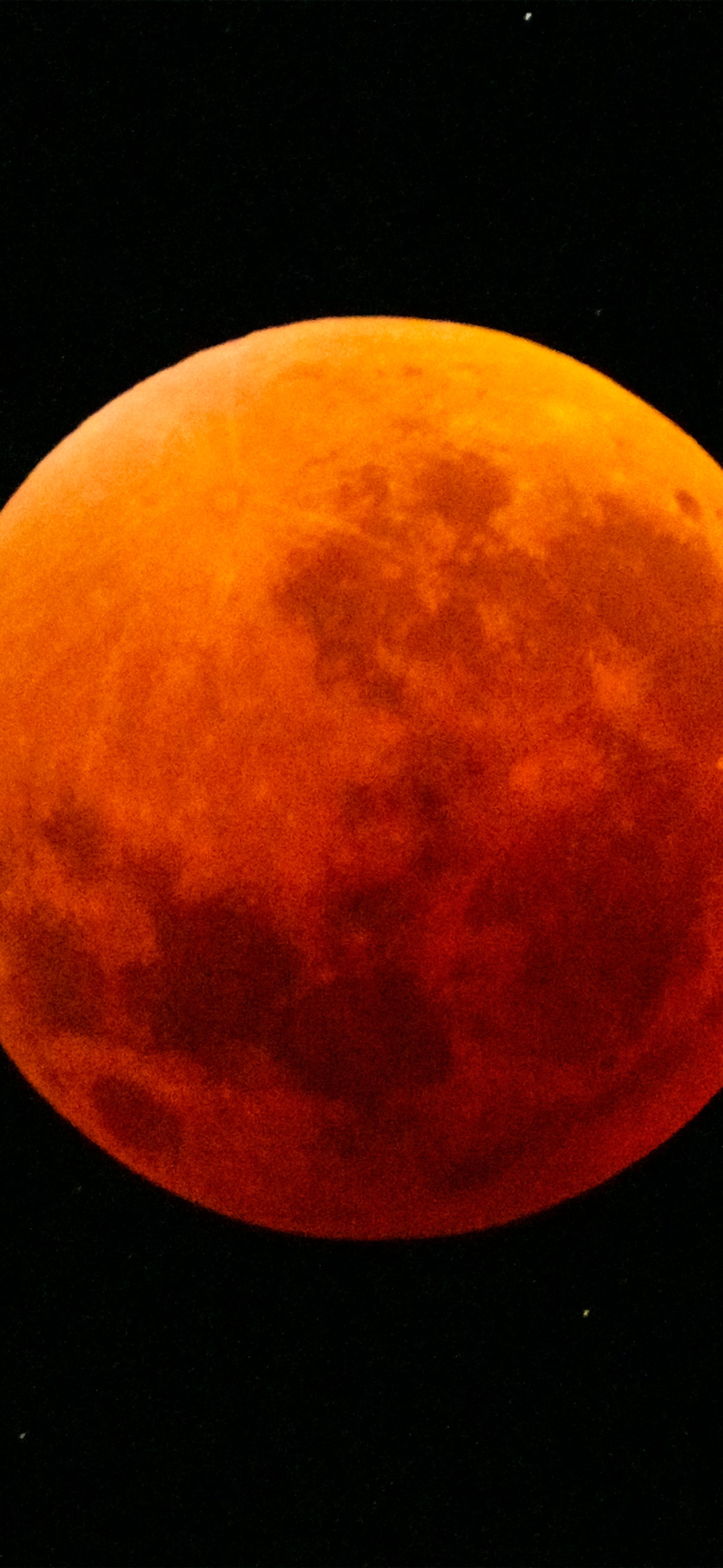Lunar Eclipse Live: Sydney to Nagoya