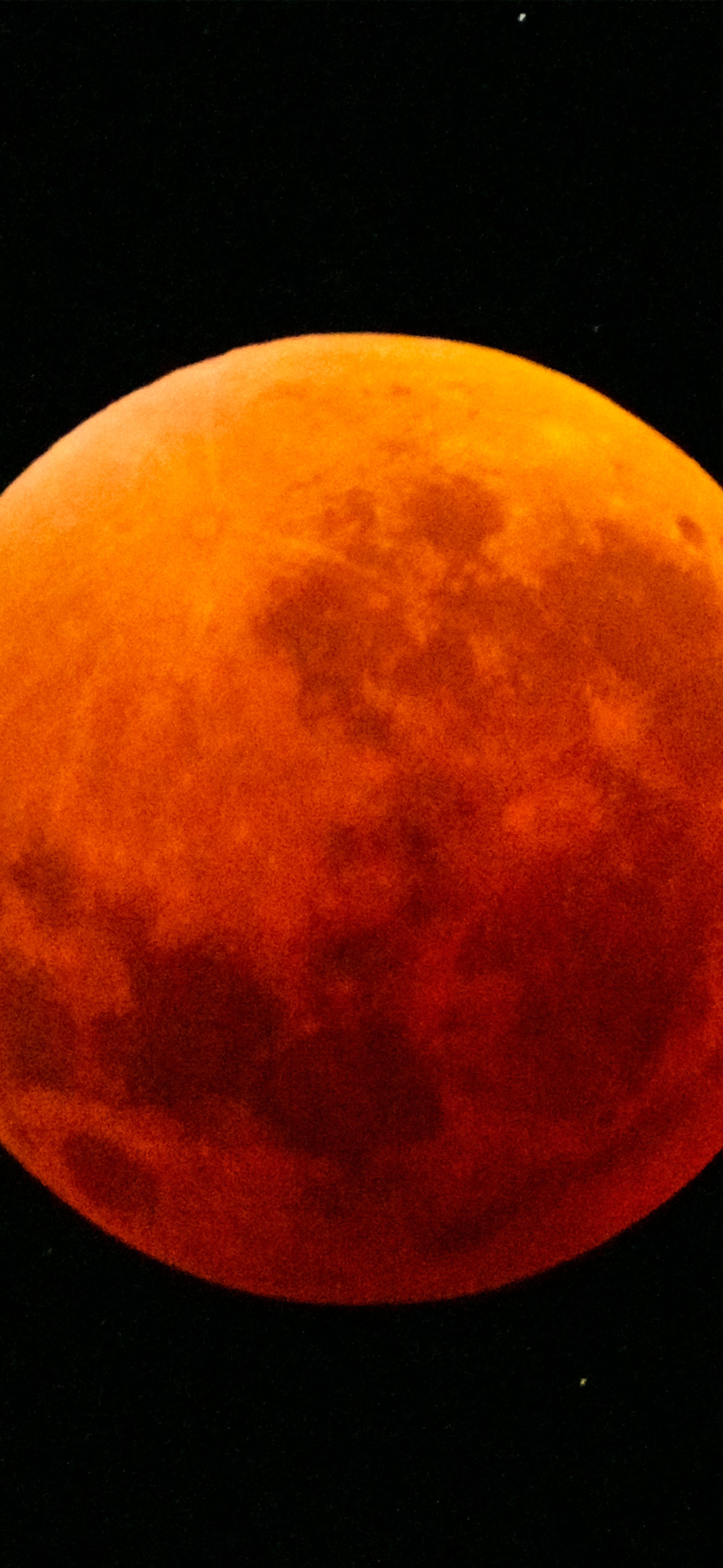 Lunar Eclipse Live: Sydney to Nagoya