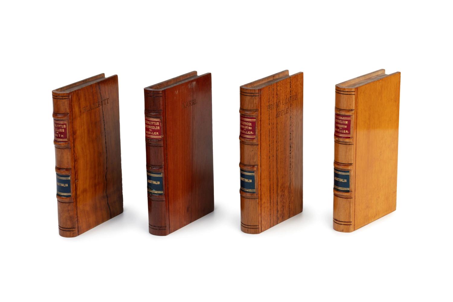 wooden books lined up. Object No. 86/1341 Collection of Australian timber samples in the form of books