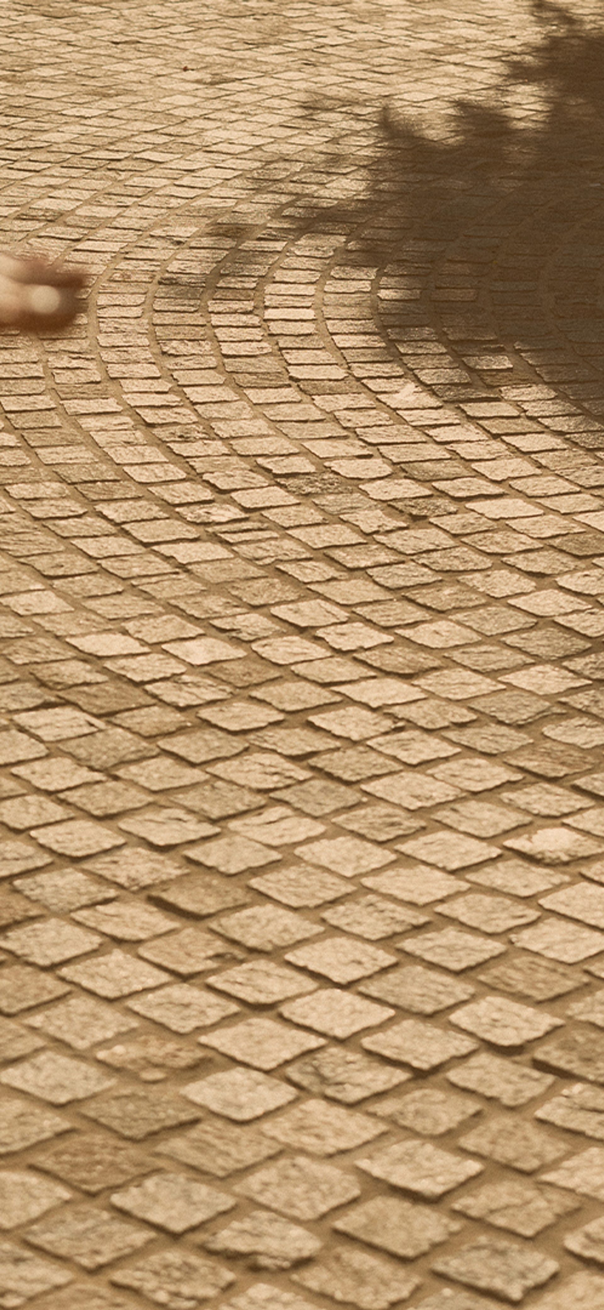 Paving Parra