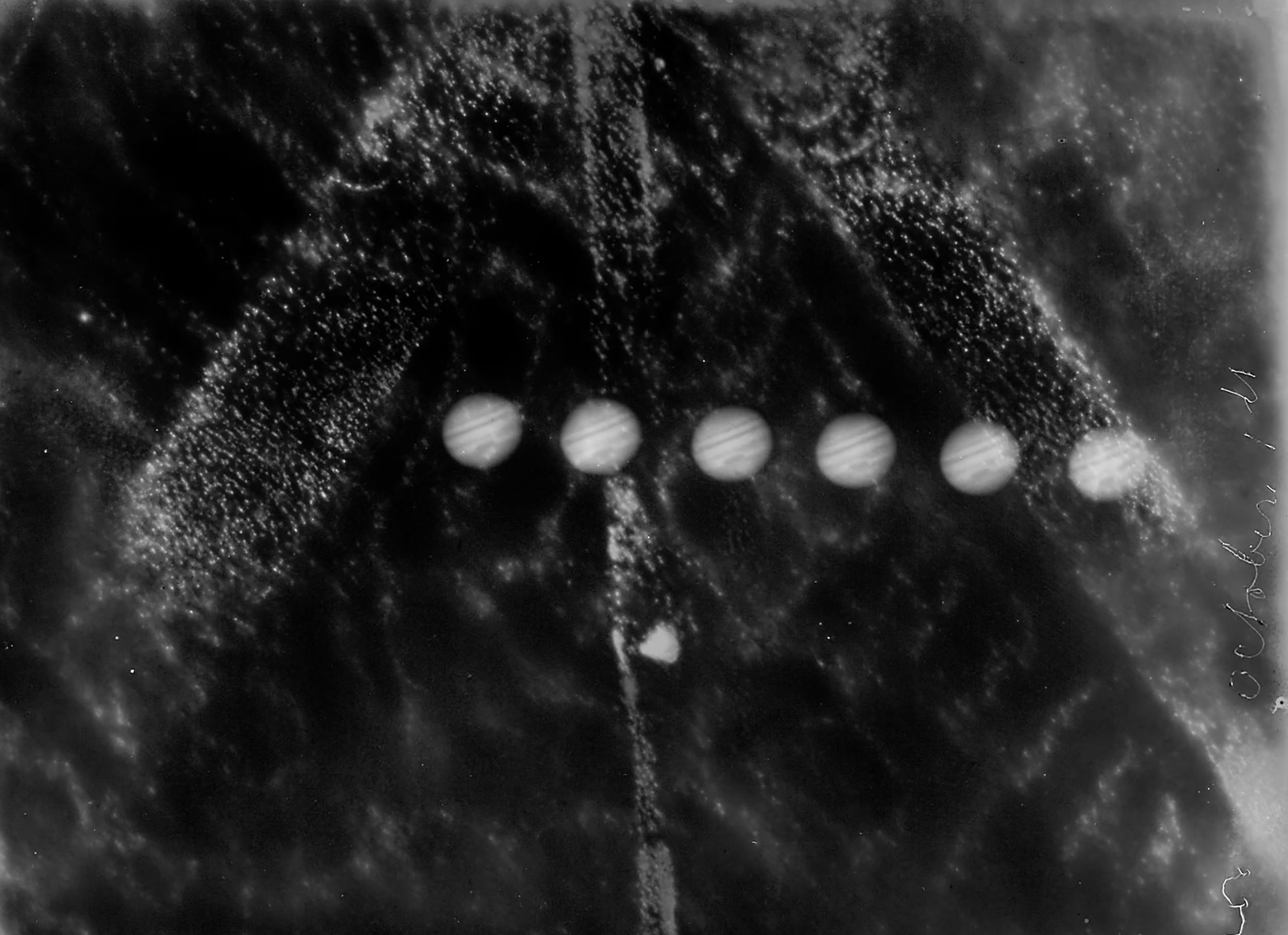 Many Juptiers lined up together