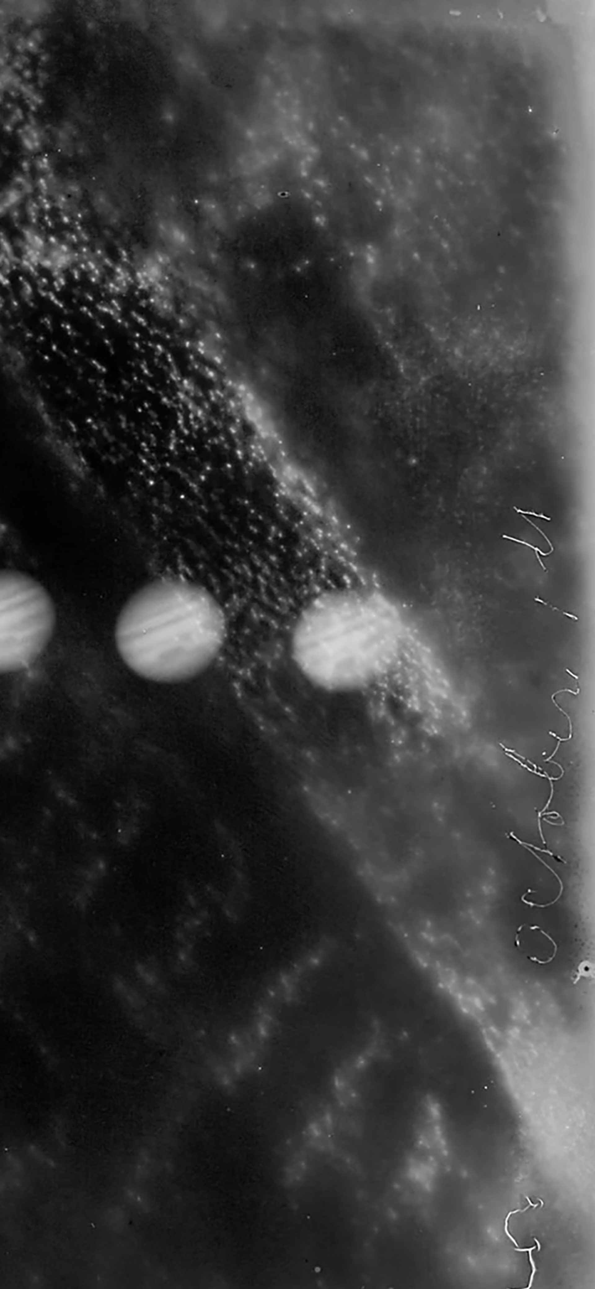 Sky Guide November 2024