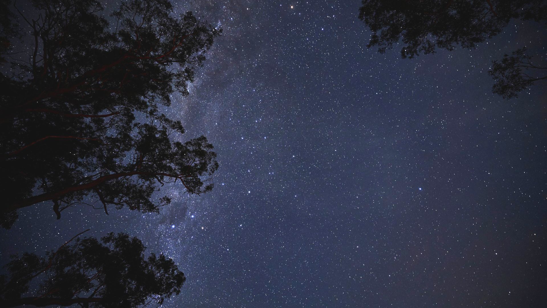 Dark Skies