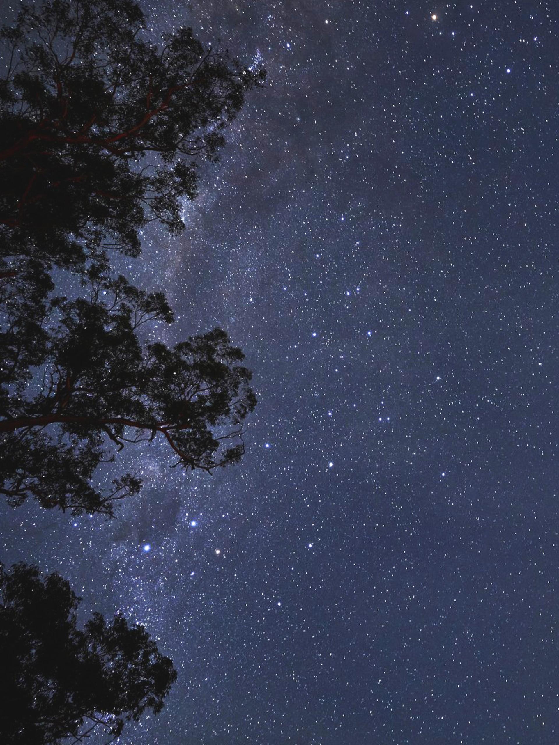 Dark Skies