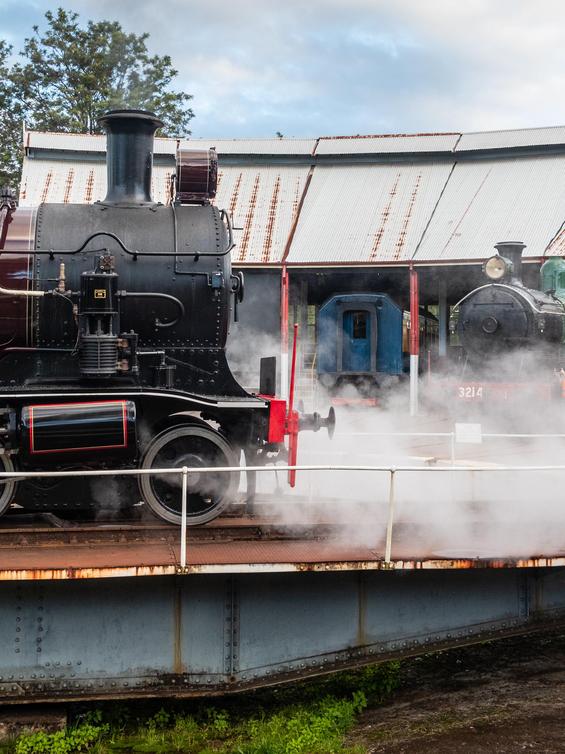 Steam Train, Vintage Bus Rides & NSW Railway Band