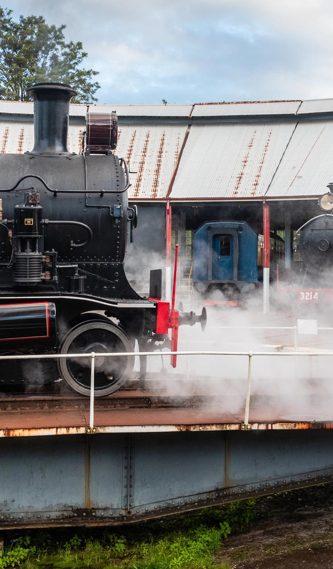 Steam Train, Vintage Bus Rides & NSW Railway Band