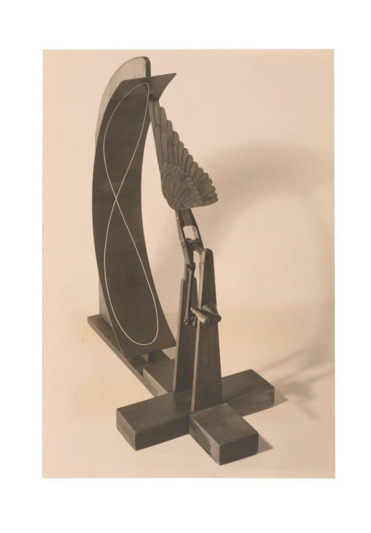 demonstration model of wingtip movement of a bird's flight