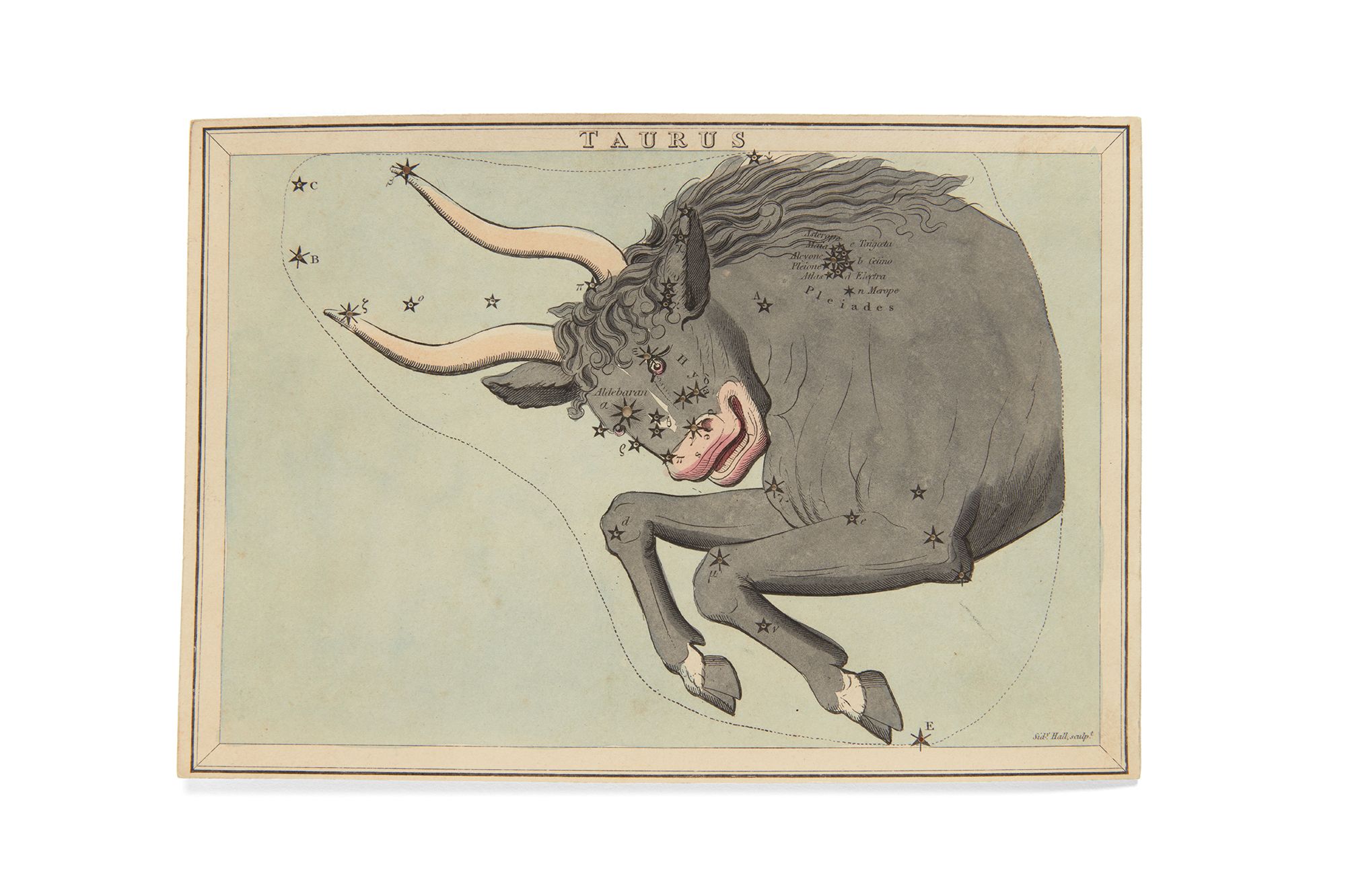 Taurus bull painted onto the frame showing its star points