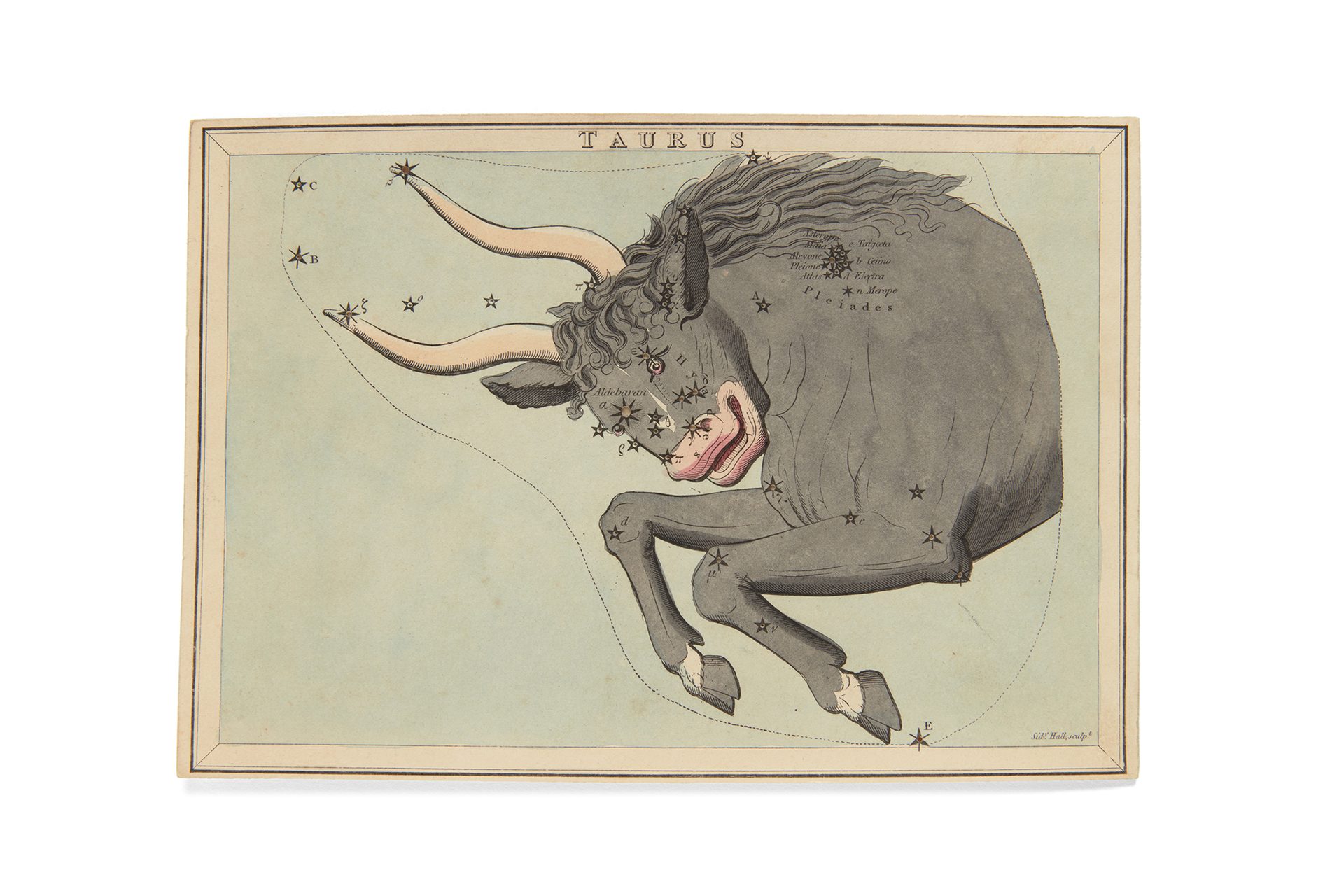 Taurus bull painted onto the frame showing its star points