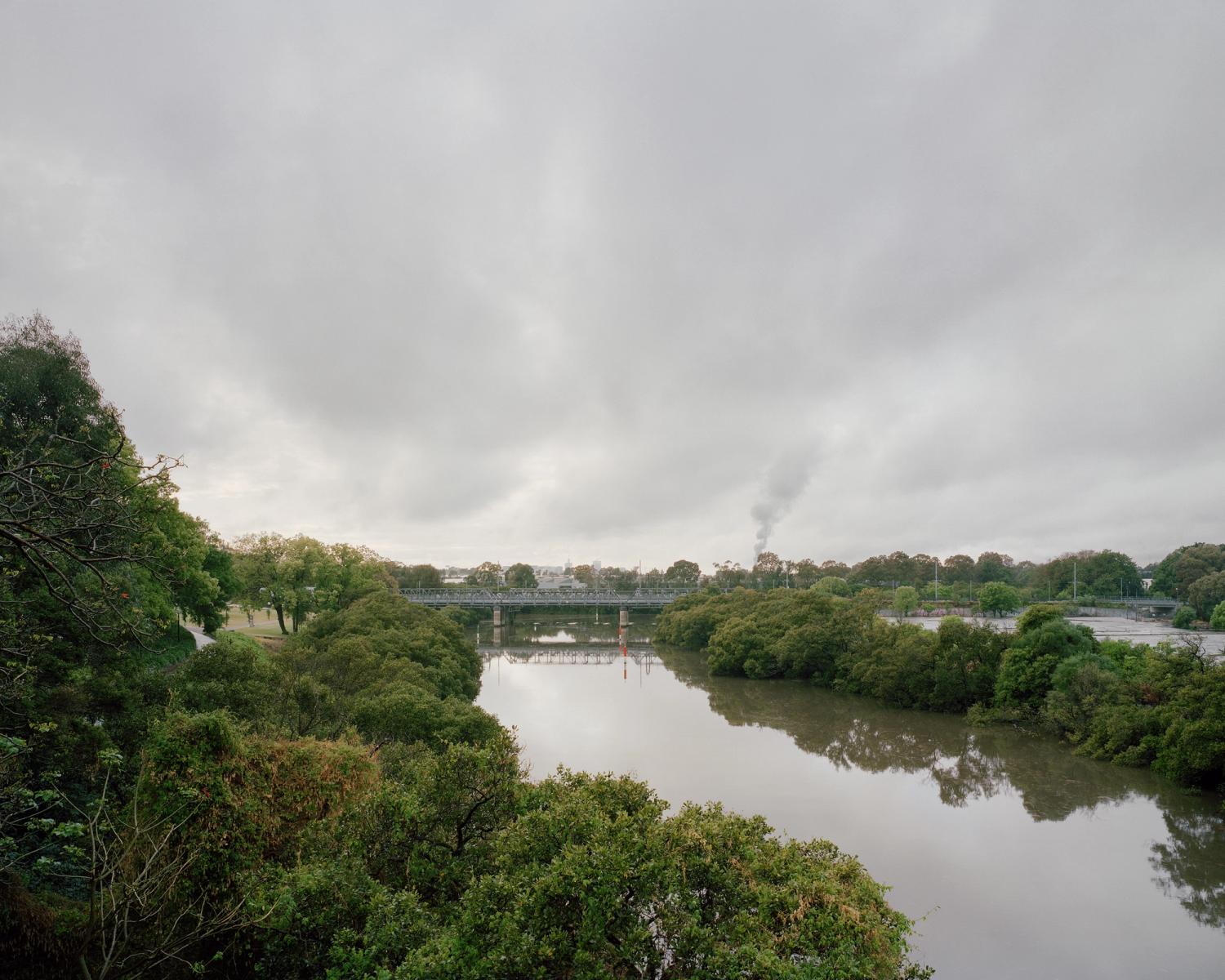 Parramatta River, Camelia, 2023.