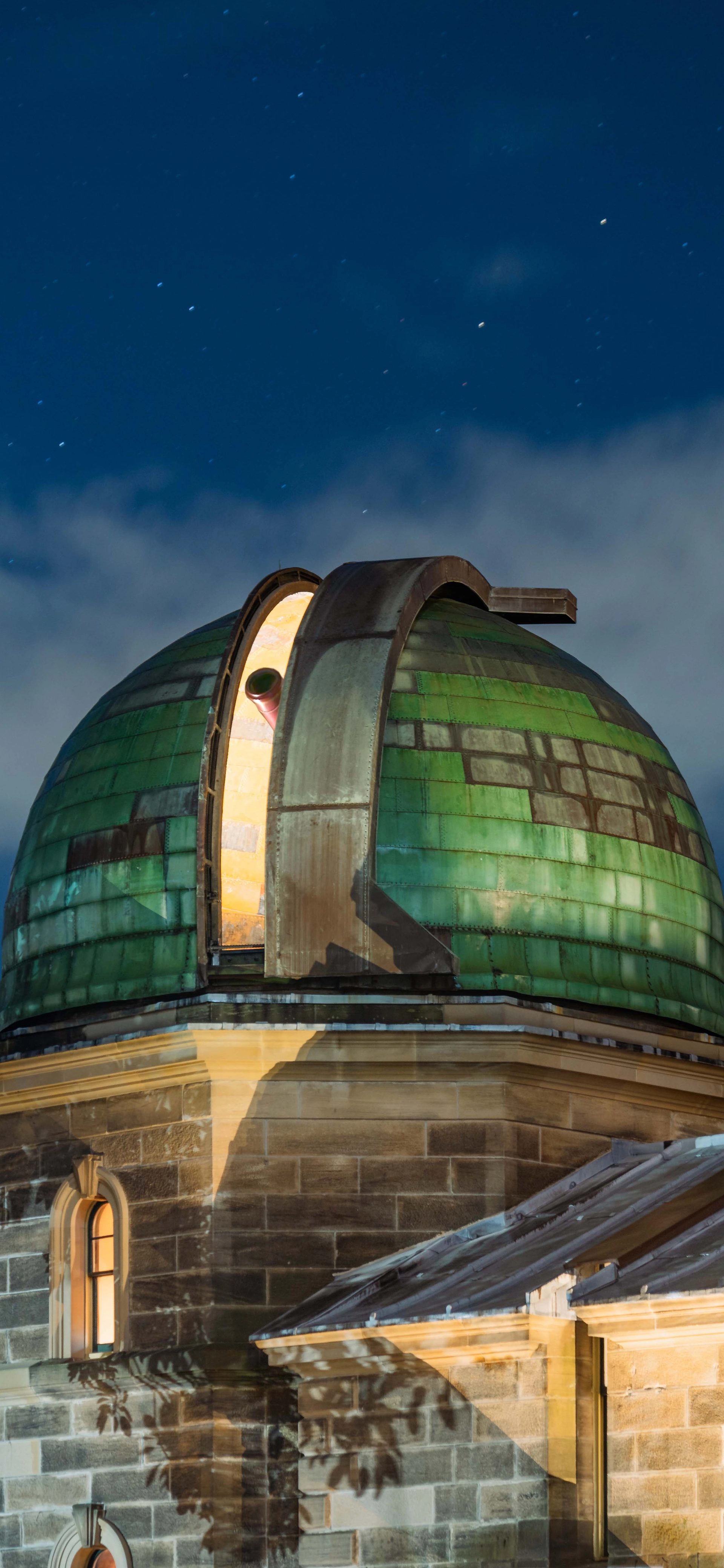 Guided Family Tours