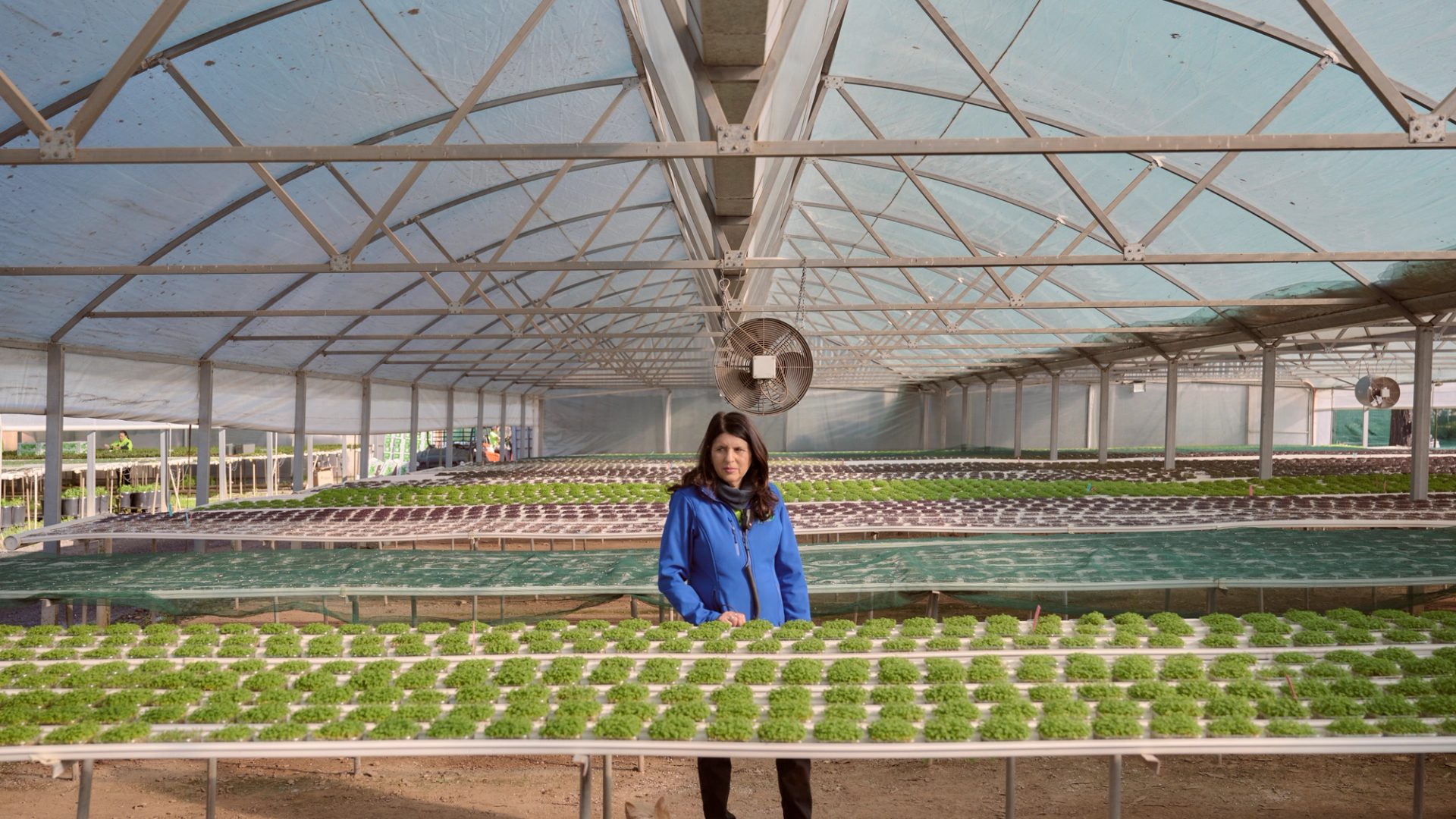 A woman stands in the center of a large greenhouse, surrounded by rows of thriving green plants arranged on raised platforms. She is wearing a blue jacket and looking directly at the camera with a serious expression. The greenhouse structure is spacious, with a high, arched ceiling covered in translucent material that lets in soft, natural light. A small dog is visible at her feet, gazing up at her.