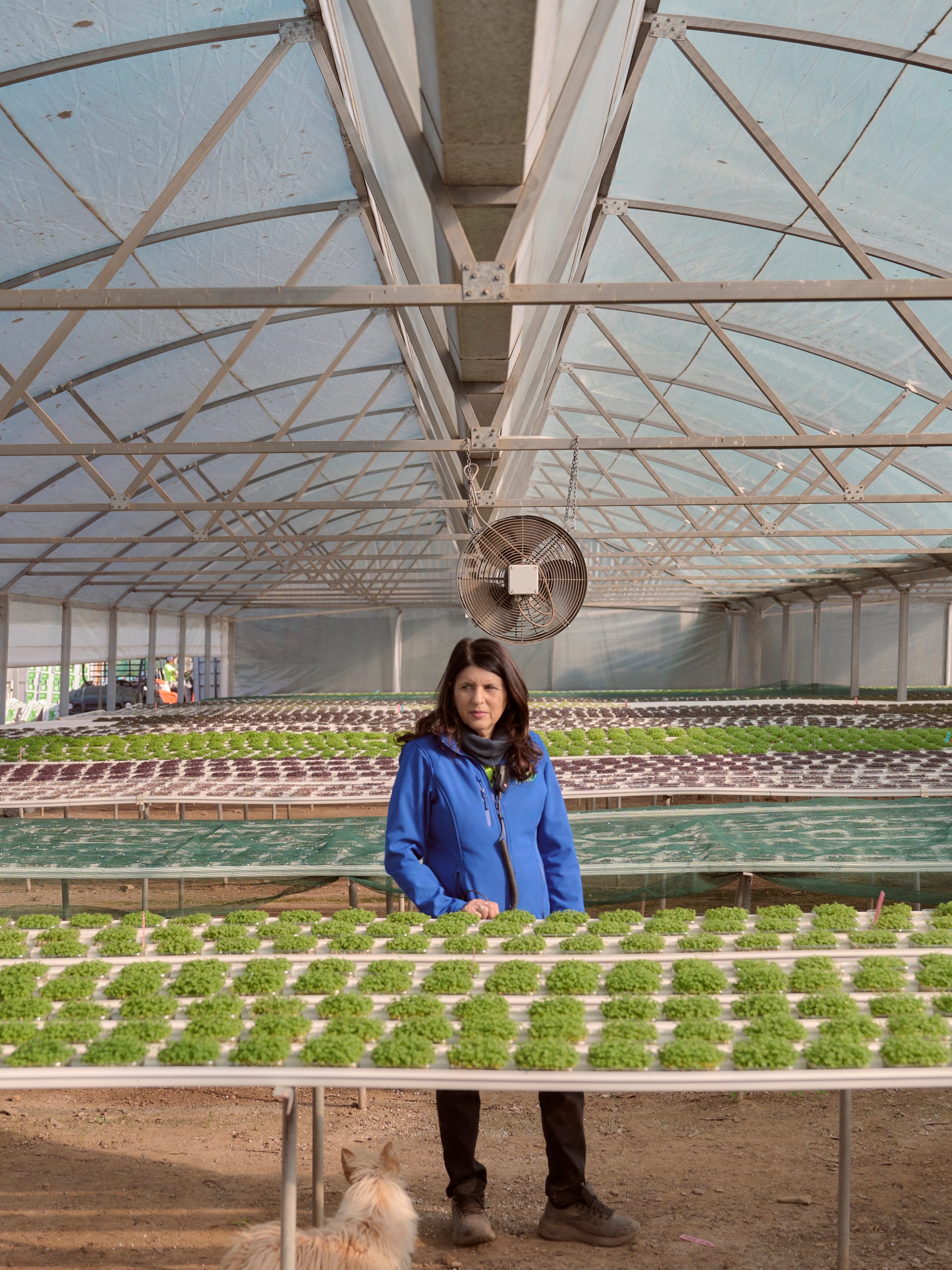 A woman stands in the center of a large greenhouse, surrounded by rows of thriving green plants arranged on raised platforms. She is wearing a blue jacket and looking directly at the camera with a serious expression. The greenhouse structure is spacious, with a high, arched ceiling covered in translucent material that lets in soft, natural light. A small dog is visible at her feet, gazing up at her.