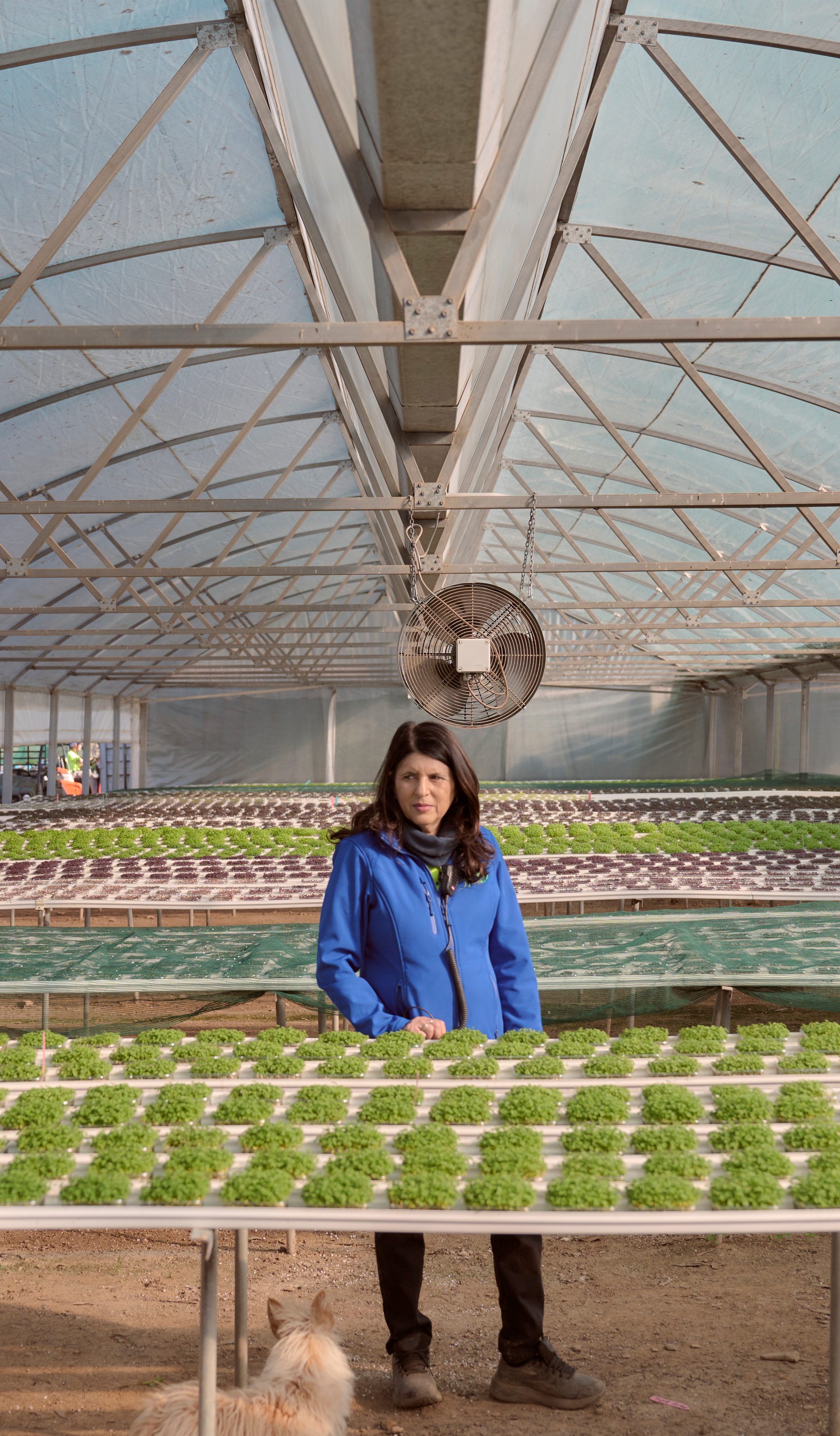 A woman stands in the center of a large greenhouse, surrounded by rows of thriving green plants arranged on raised platforms. She is wearing a blue jacket and looking directly at the camera with a serious expression. The greenhouse structure is spacious, with a high, arched ceiling covered in translucent material that lets in soft, natural light. A small dog is visible at her feet, gazing up at her.