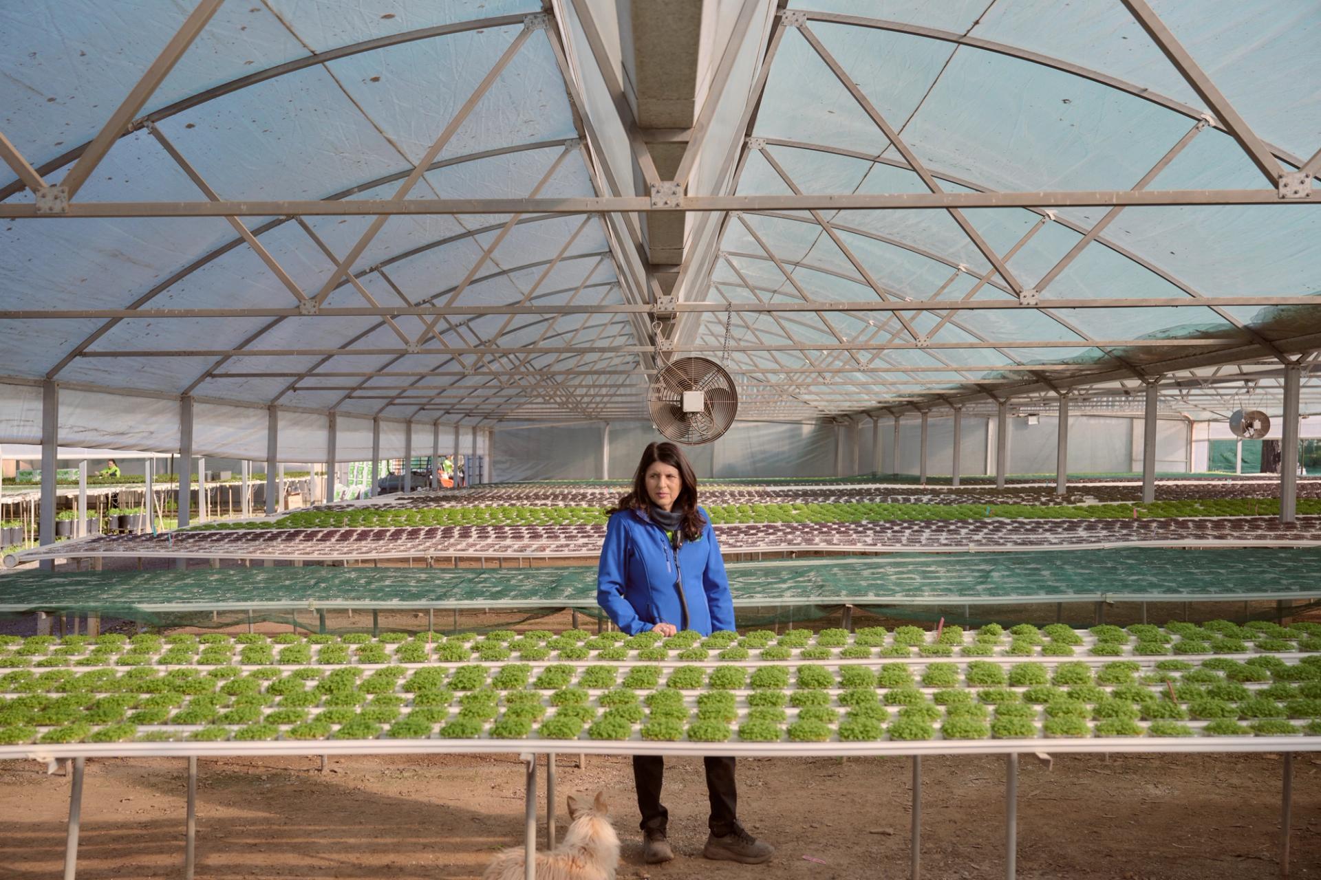 A woman stands in the center of a large greenhouse, surrounded by rows of thriving green plants arranged on raised platforms. She is wearing a blue jacket and looking directly at the camera with a serious expression. The greenhouse structure is spacious, with a high, arched ceiling covered in translucent material that lets in soft, natural light. A small dog is visible at her feet, gazing up at her.