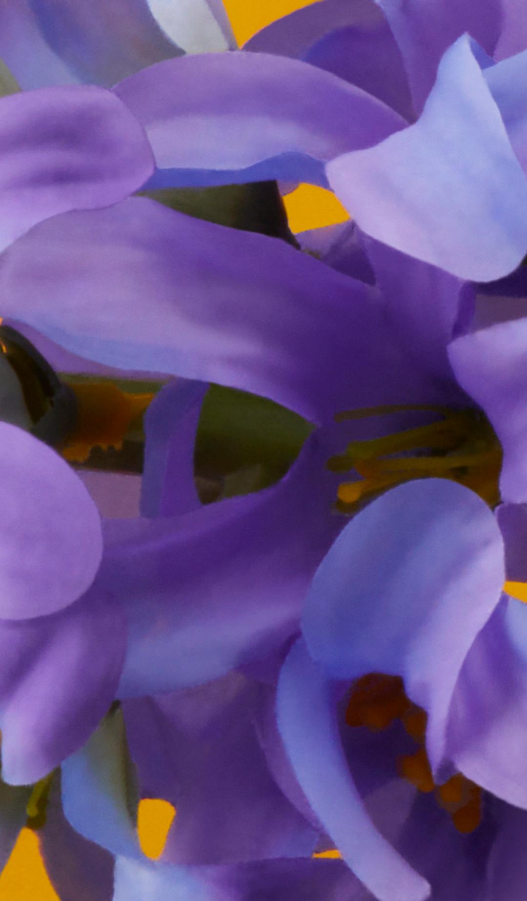 Close up of hyacinth purple flowers against a yellow background