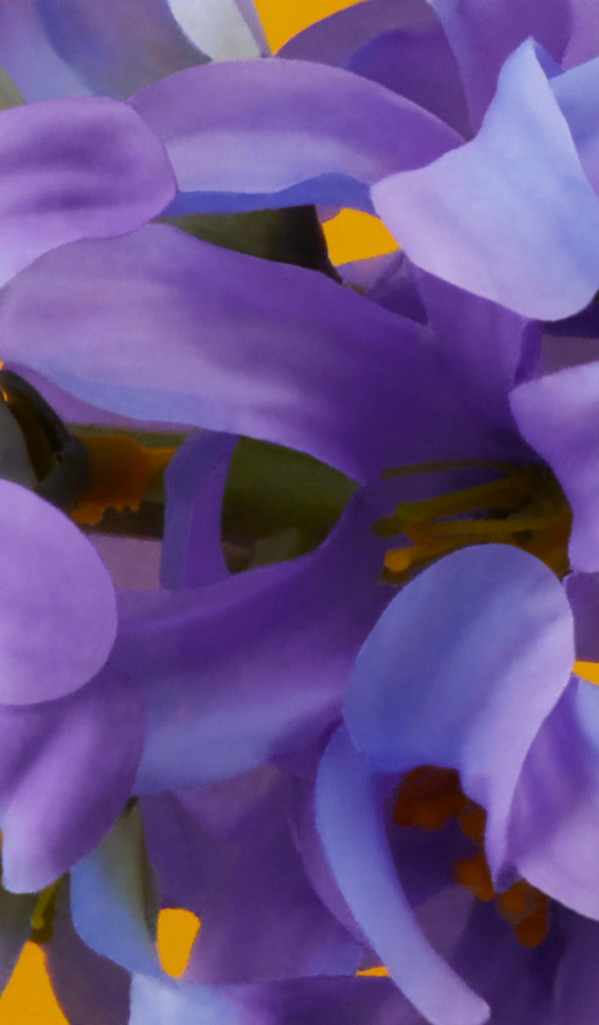 Close up of hyacinth purple flowers against a yellow background