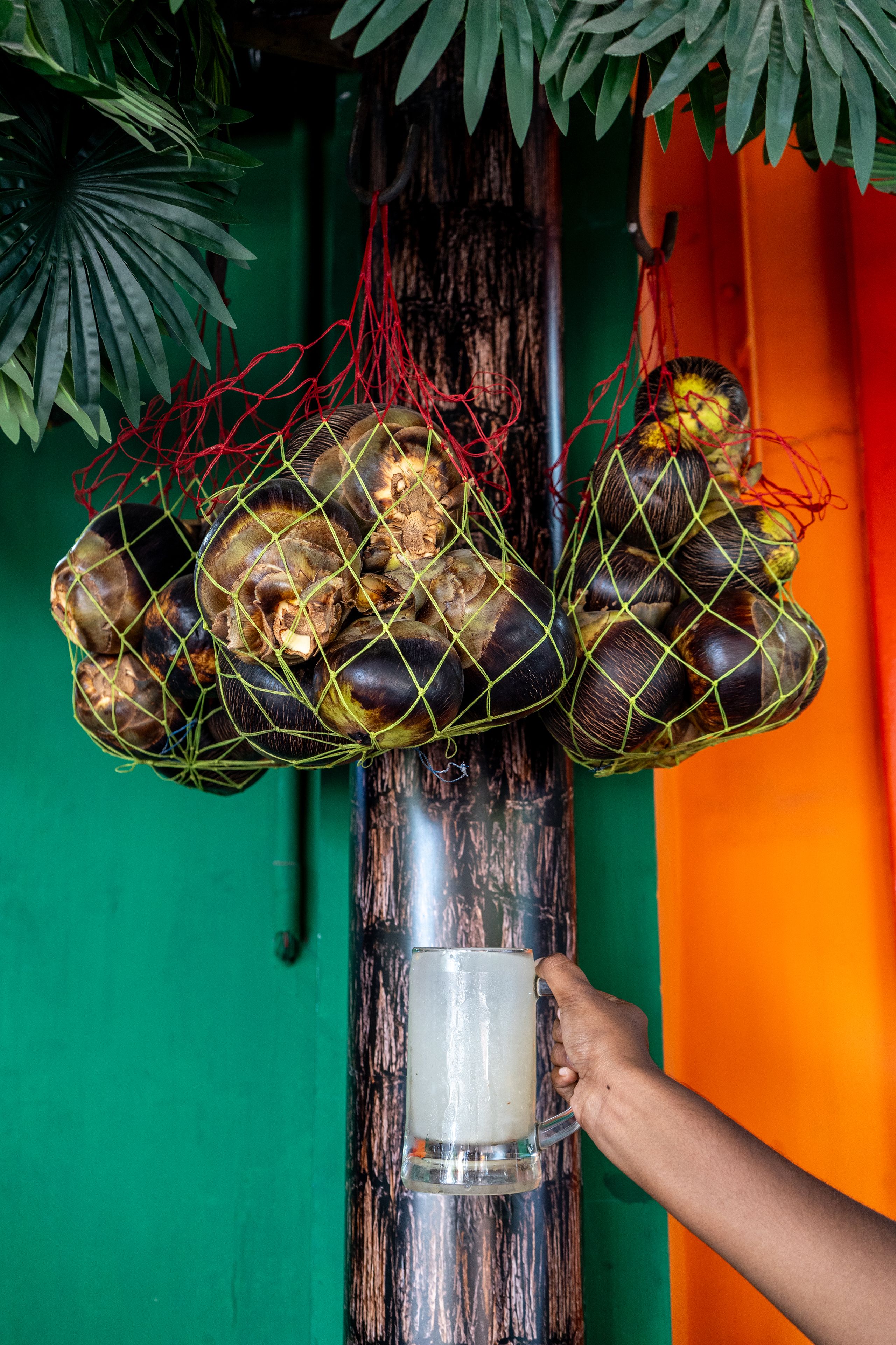A hand holds a large glass of palm juice in front of a dark tree trunk. Two string bags of palm fruit hang from the top of the trunk.