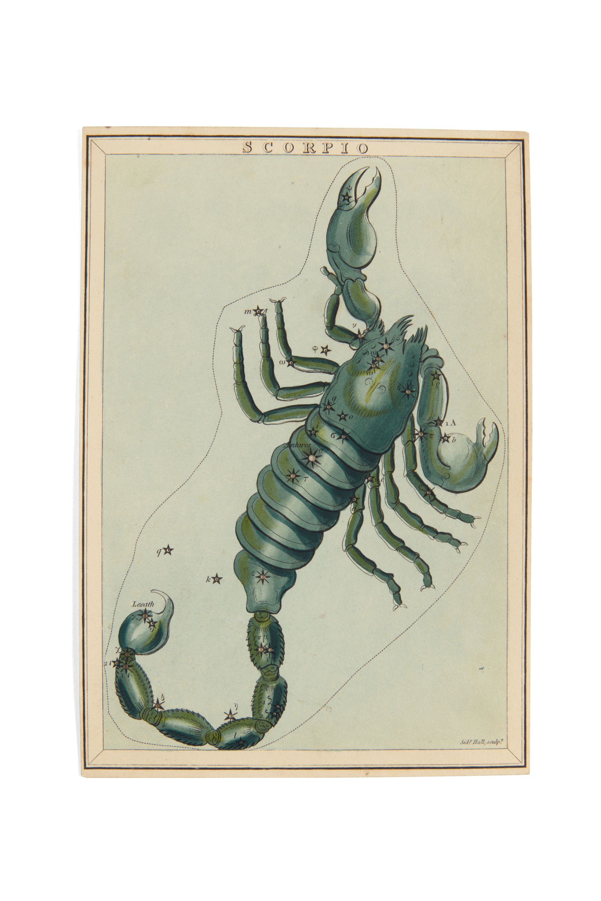 Glass plate slide with a hand-drawn illustration of a scorpion constellation.