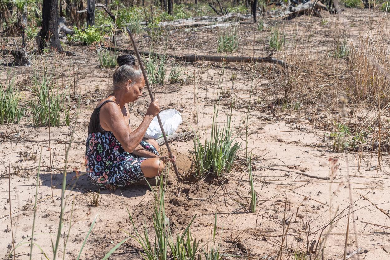 A woman sits on sandy earth, holding a long digging tool and pressing it into the earth.