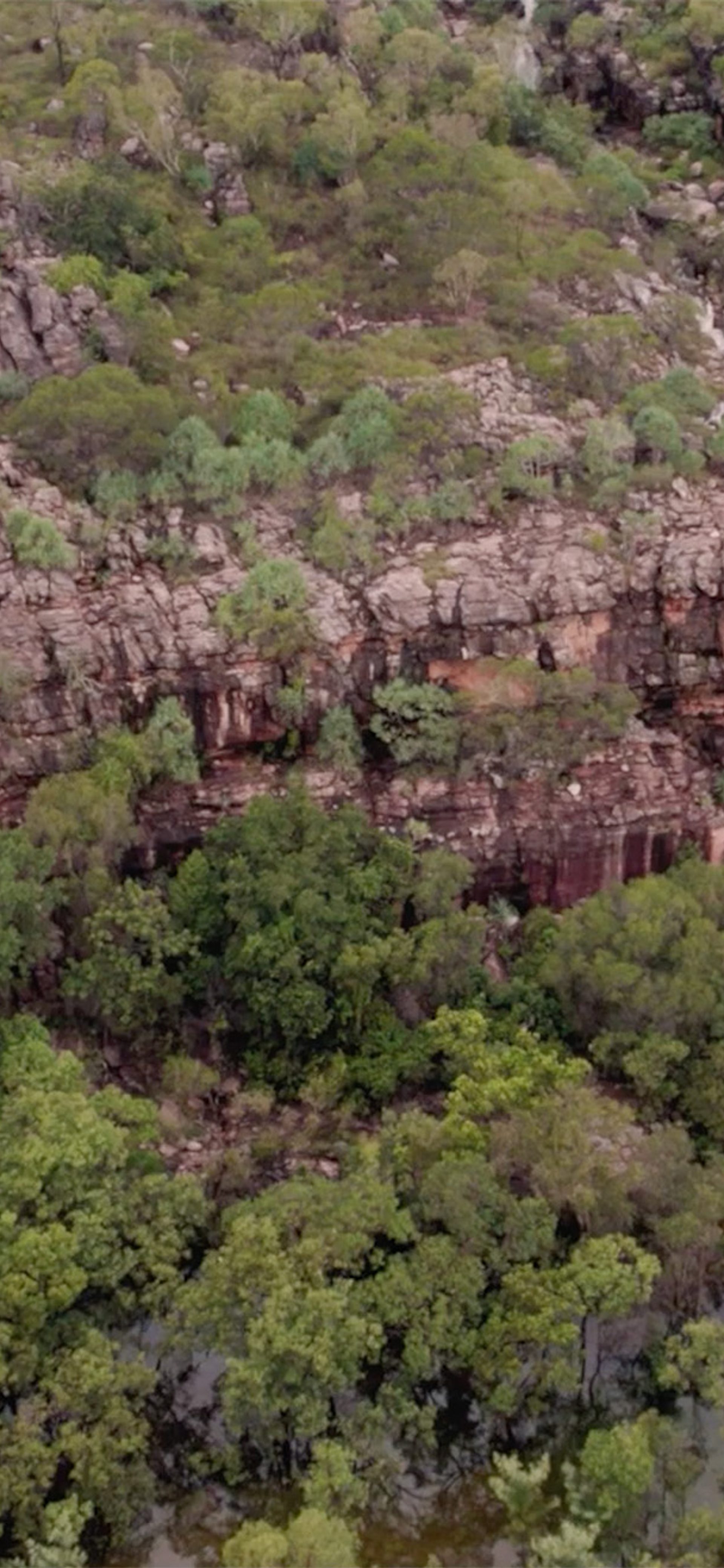 Marrawuddi Arts and Culture