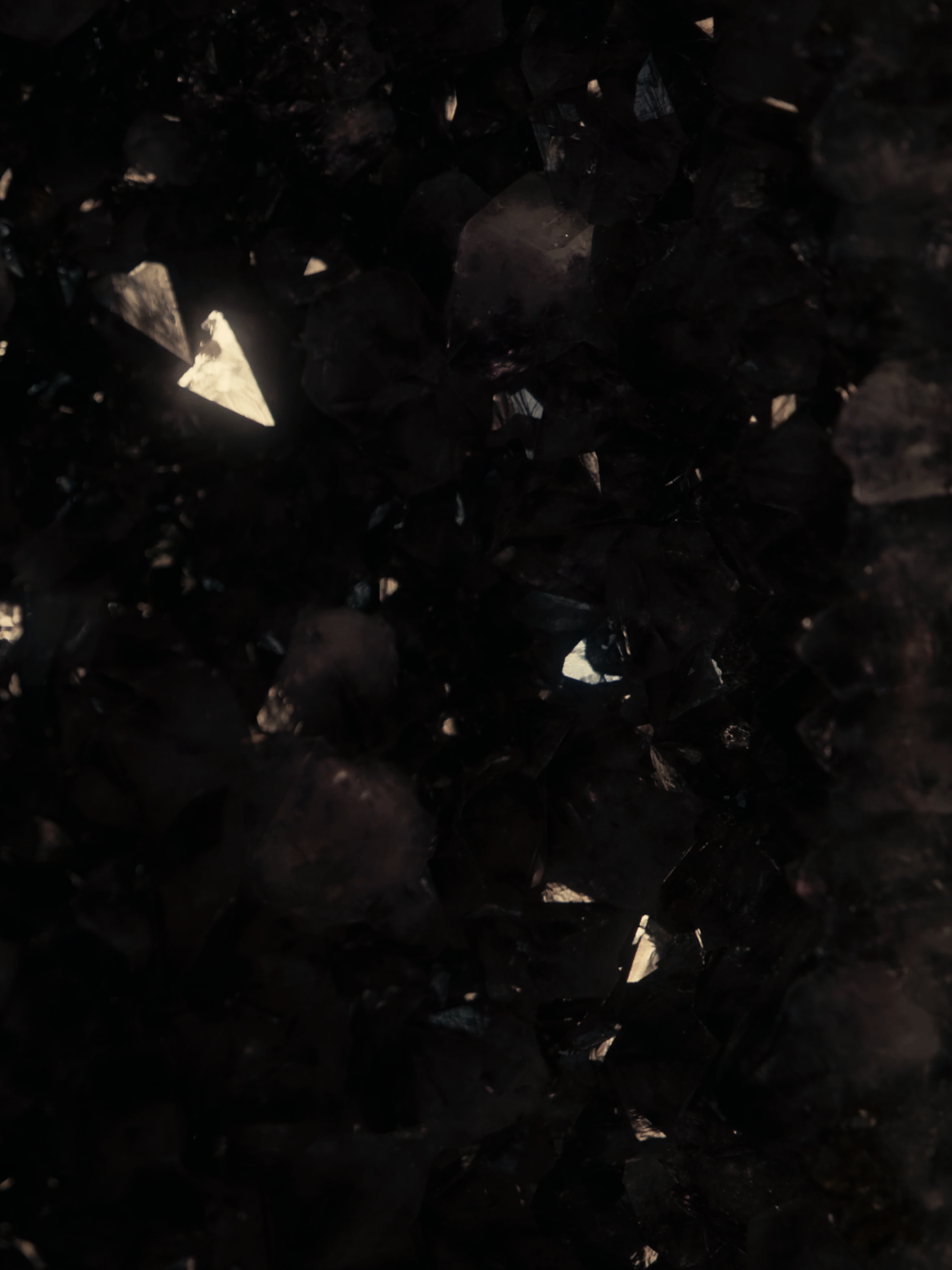 The Dark