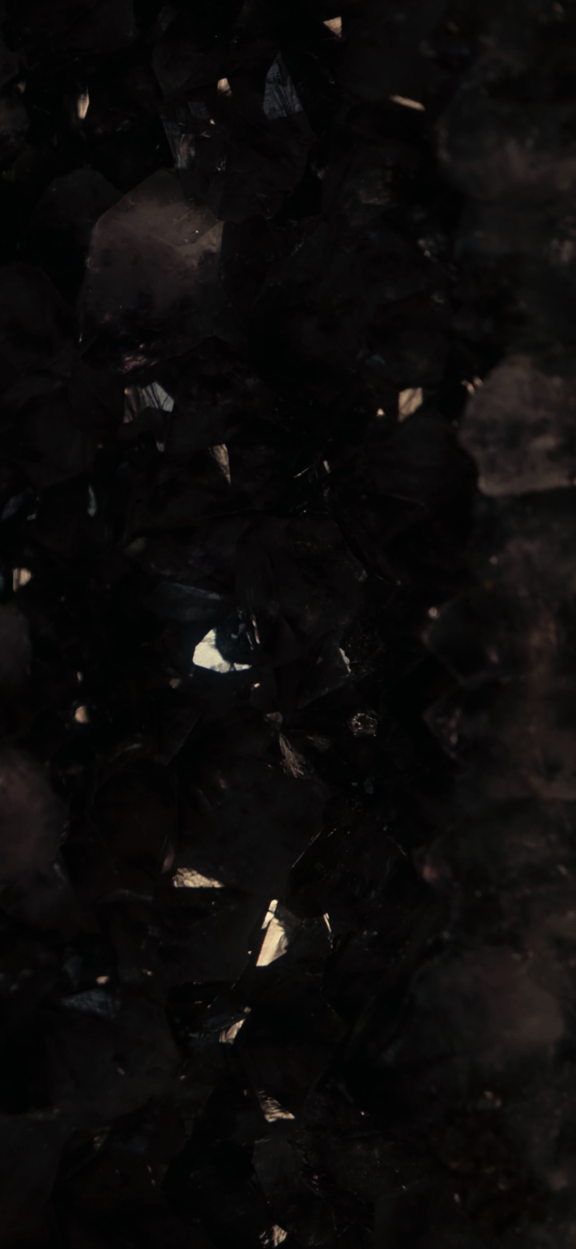 The Dark