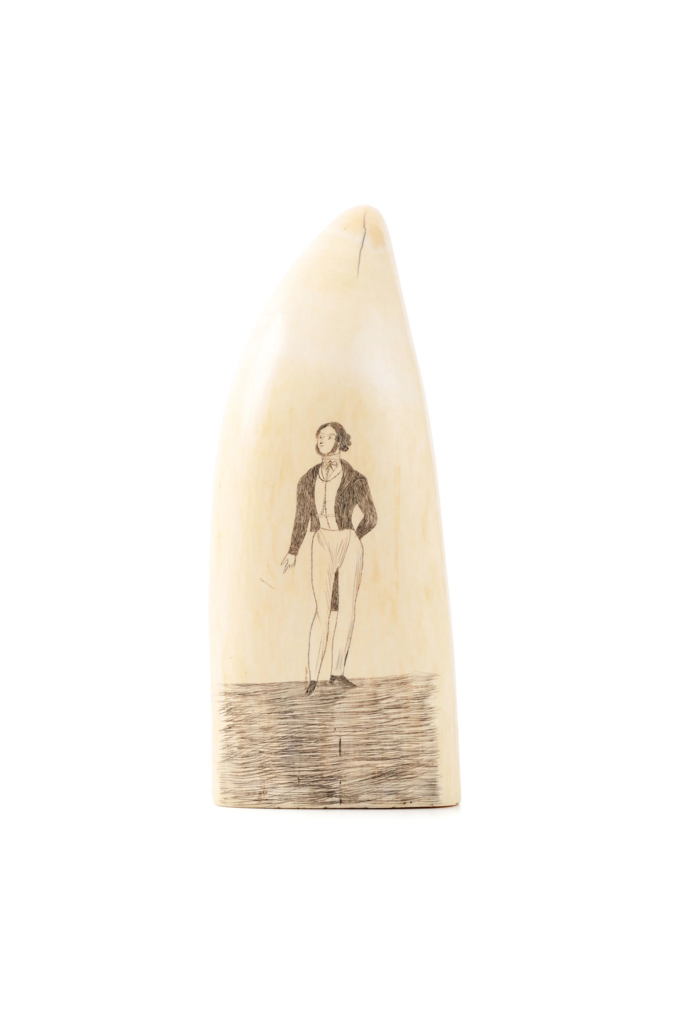 Sperm whale tooth scrimshaw, with the carving of man, in a suit.