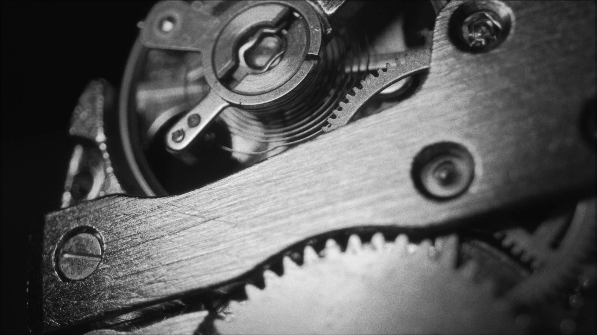 Closeup of a clocks inner workings.