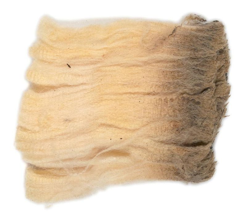 Museum collection photograph of wool sample up close on white background