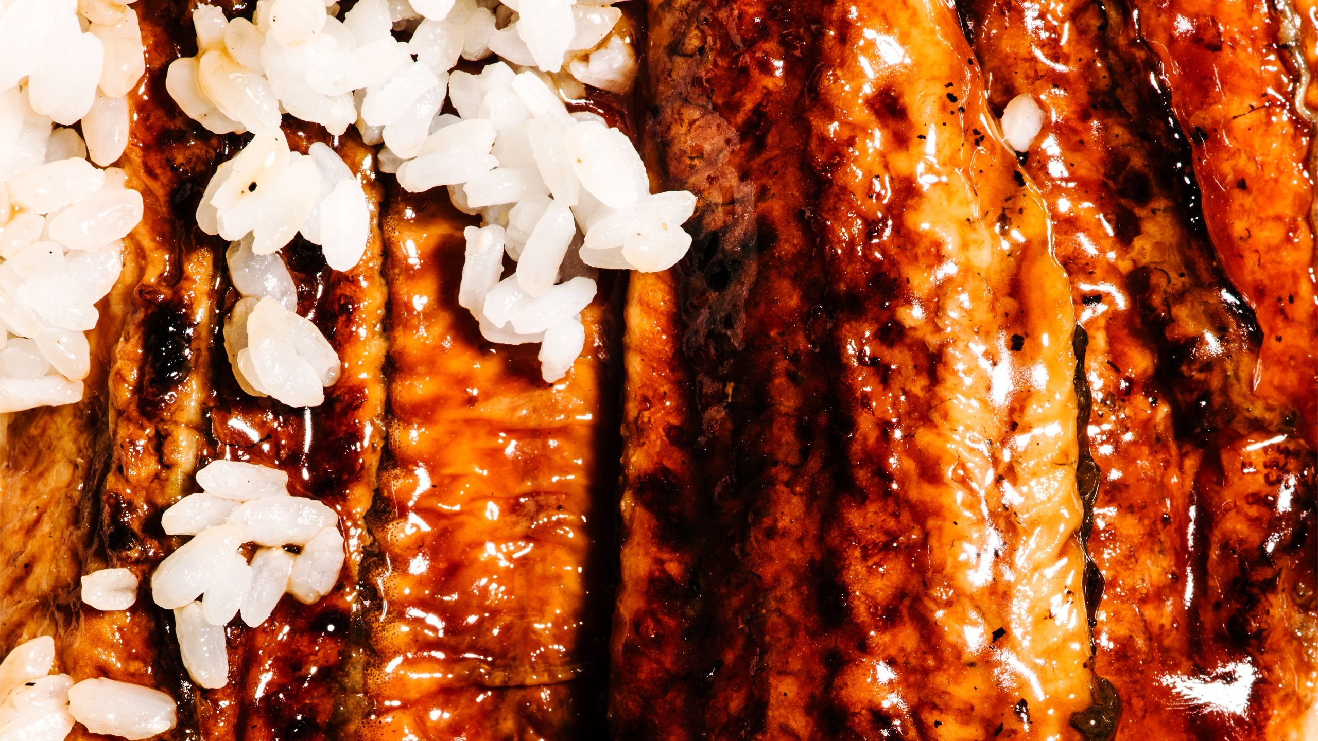 Close up of soy glazed eel. There are bits of cooked rice in the top left of the image and sporadically down the left side.