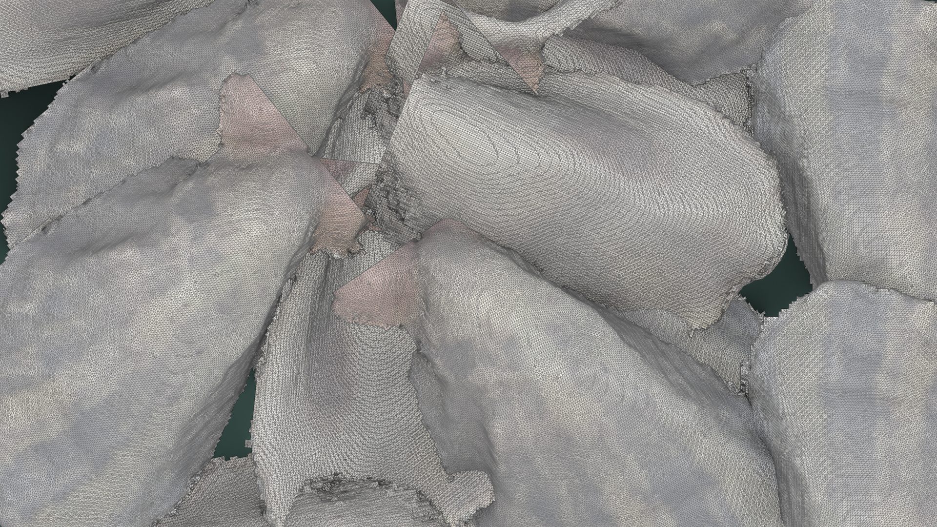digital oysters