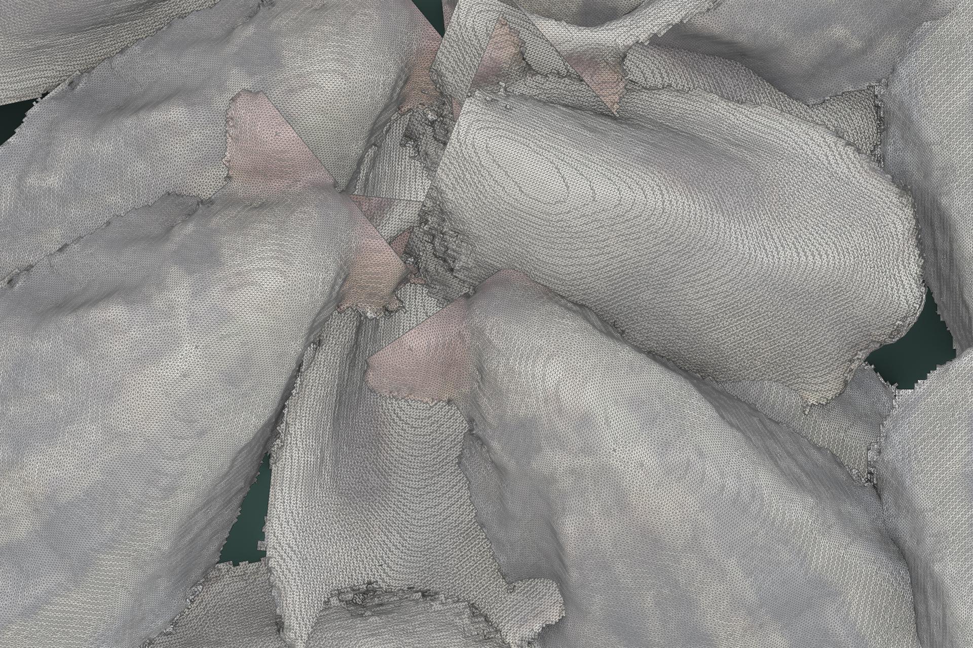 digital oysters