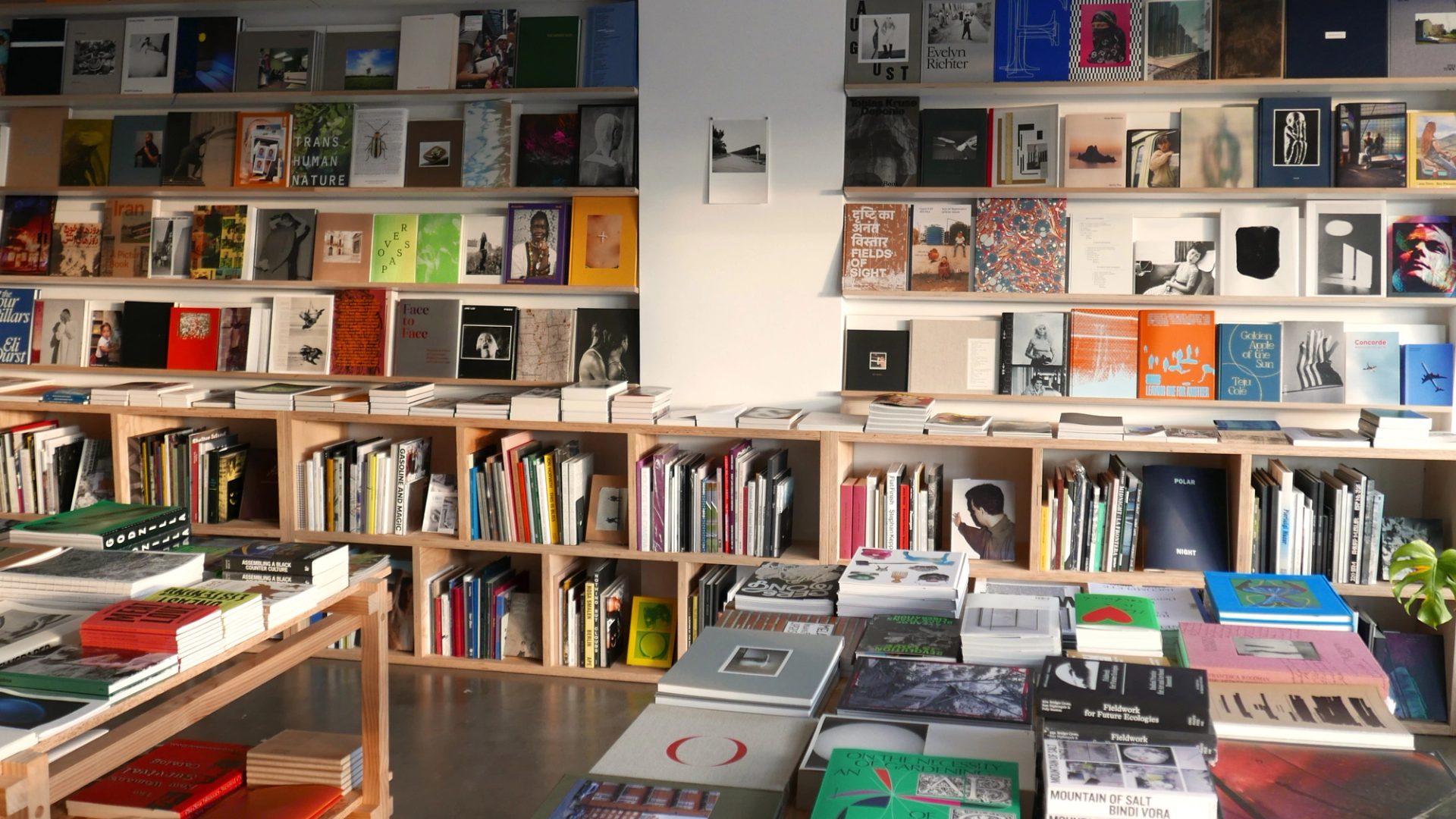 A shop space with polished concrete floors and white walls. Colourful books sit on wooden shelves and ta