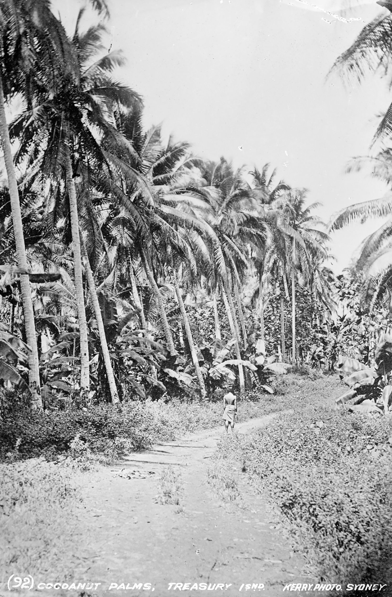 Man walking down dirt road lined with coconut and banana trees.