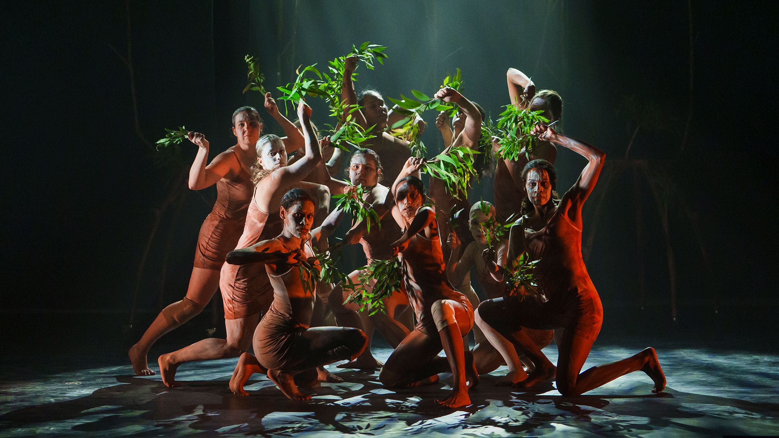 Jannawi Dance Clan