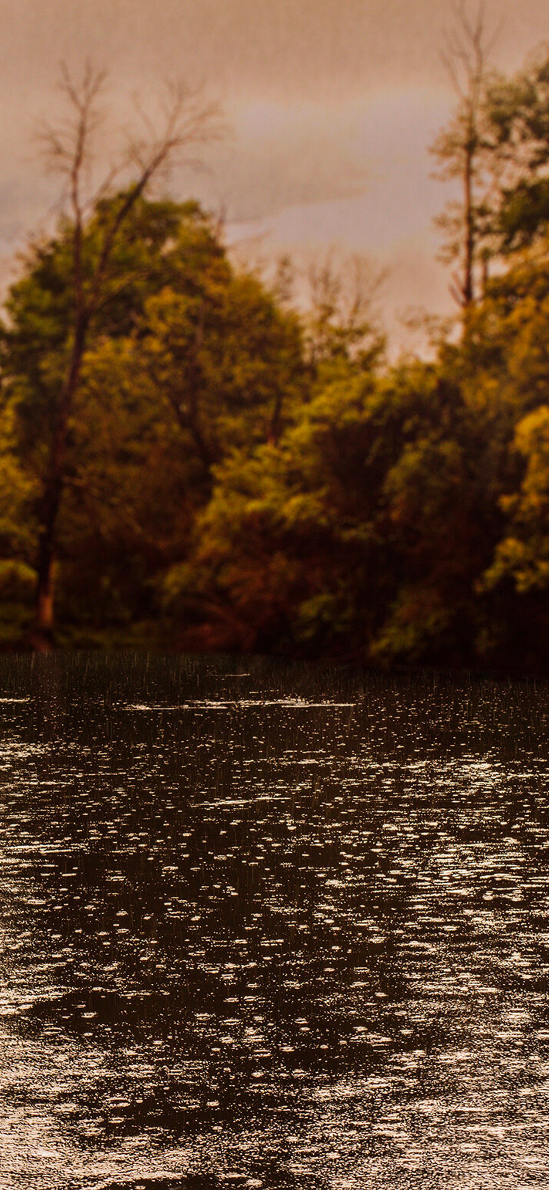 Photographing with Country with Peta Clancy