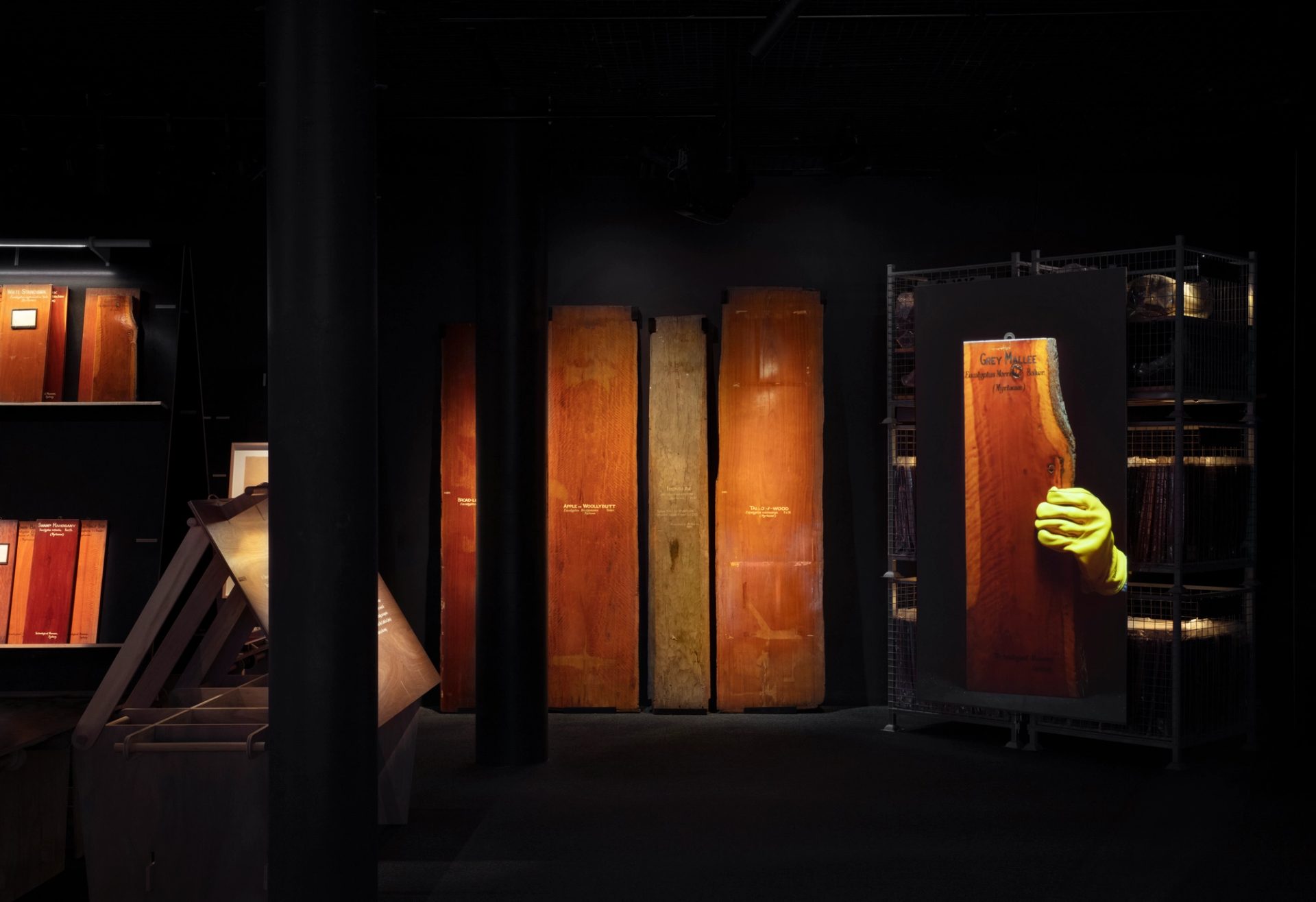 Four large water colour paintings of eucalyptus leaves. A blurred figure stands in front of the far right image.