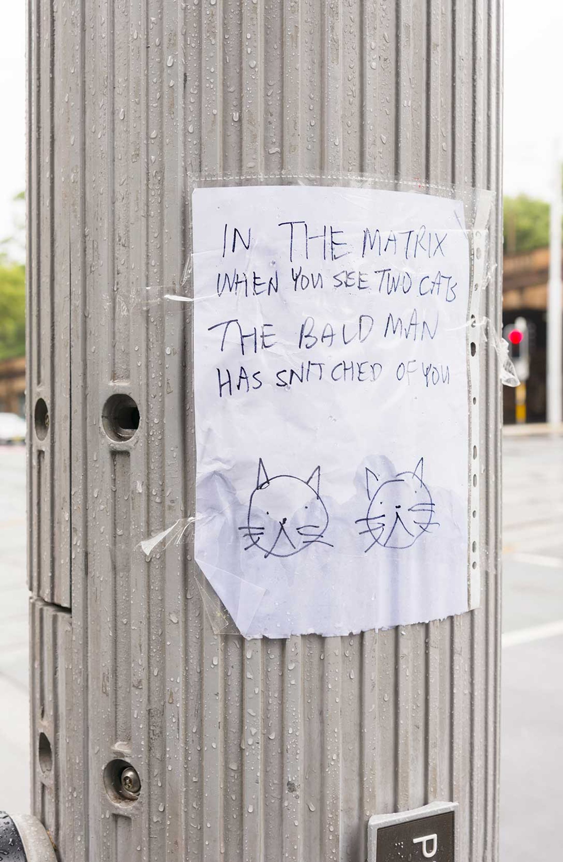 Note reading “IN THE MATRIX WHEN YOU SEE TWO CATS THE BALD MAN HAS SNITCHED ON YOU”