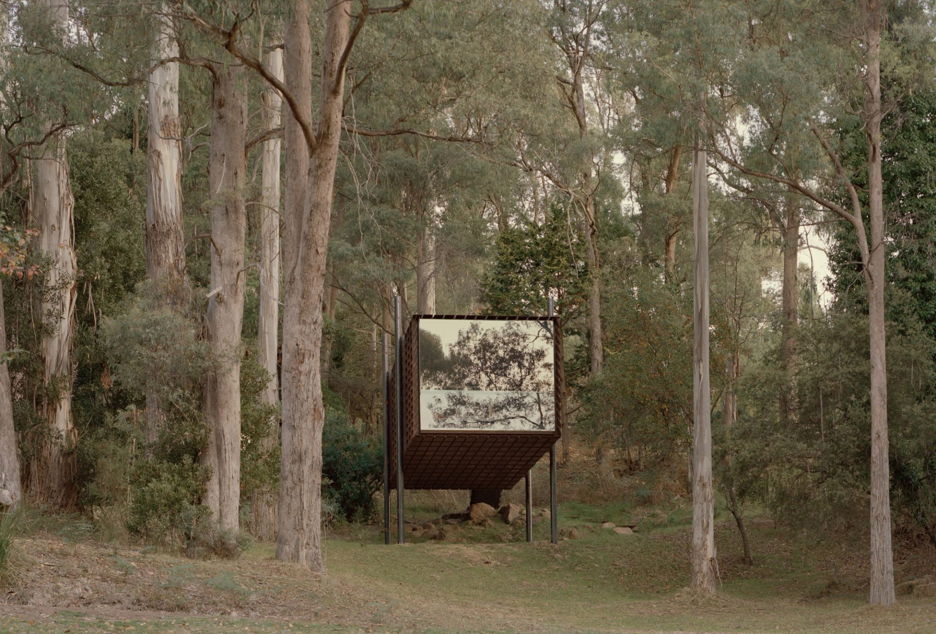 Reflective window on a building within a bushscape.