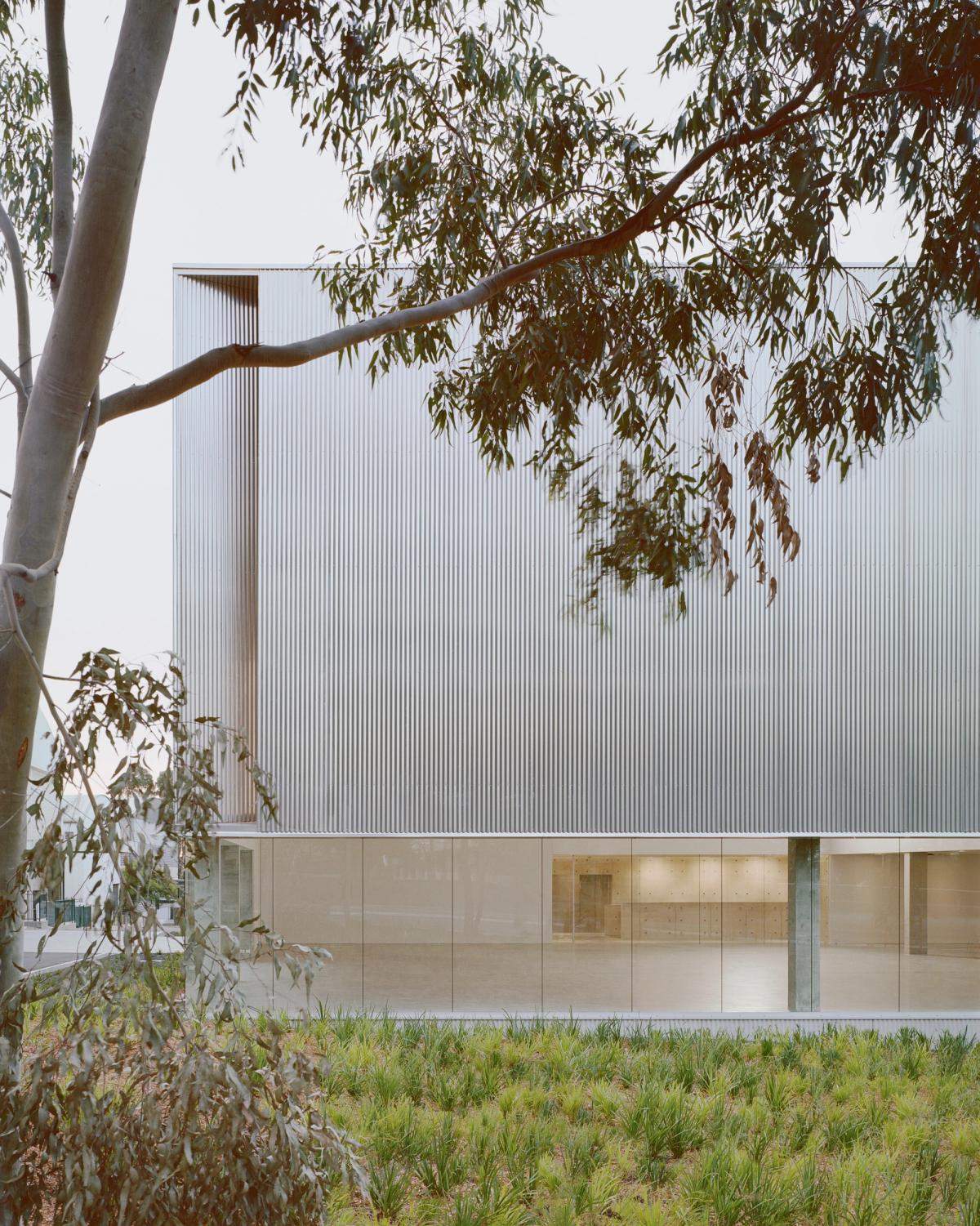 Eucalyptus trees in front of a large building with floor-to-ceiling windows on the ground floor.