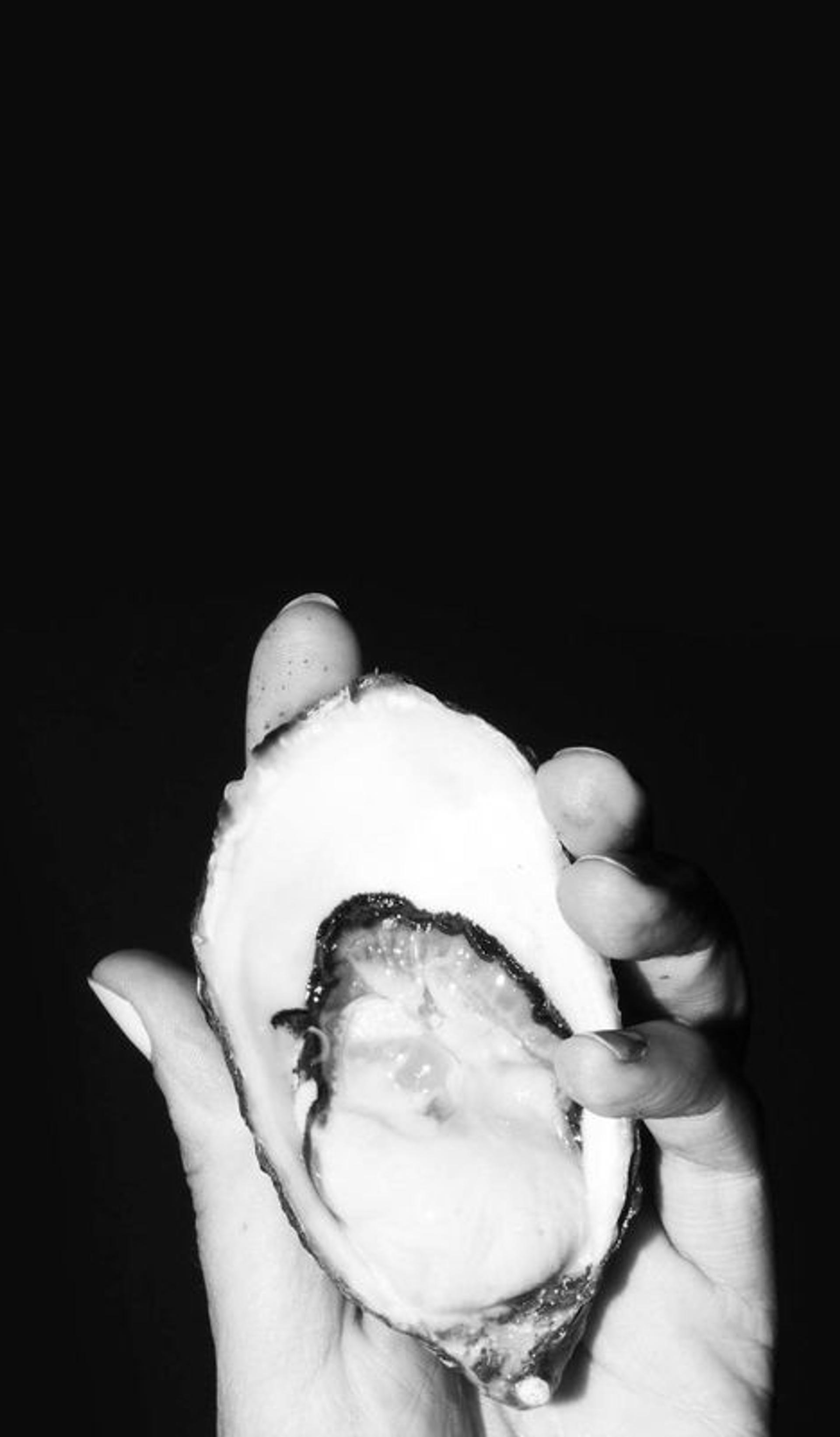A hand holds an open oyster.